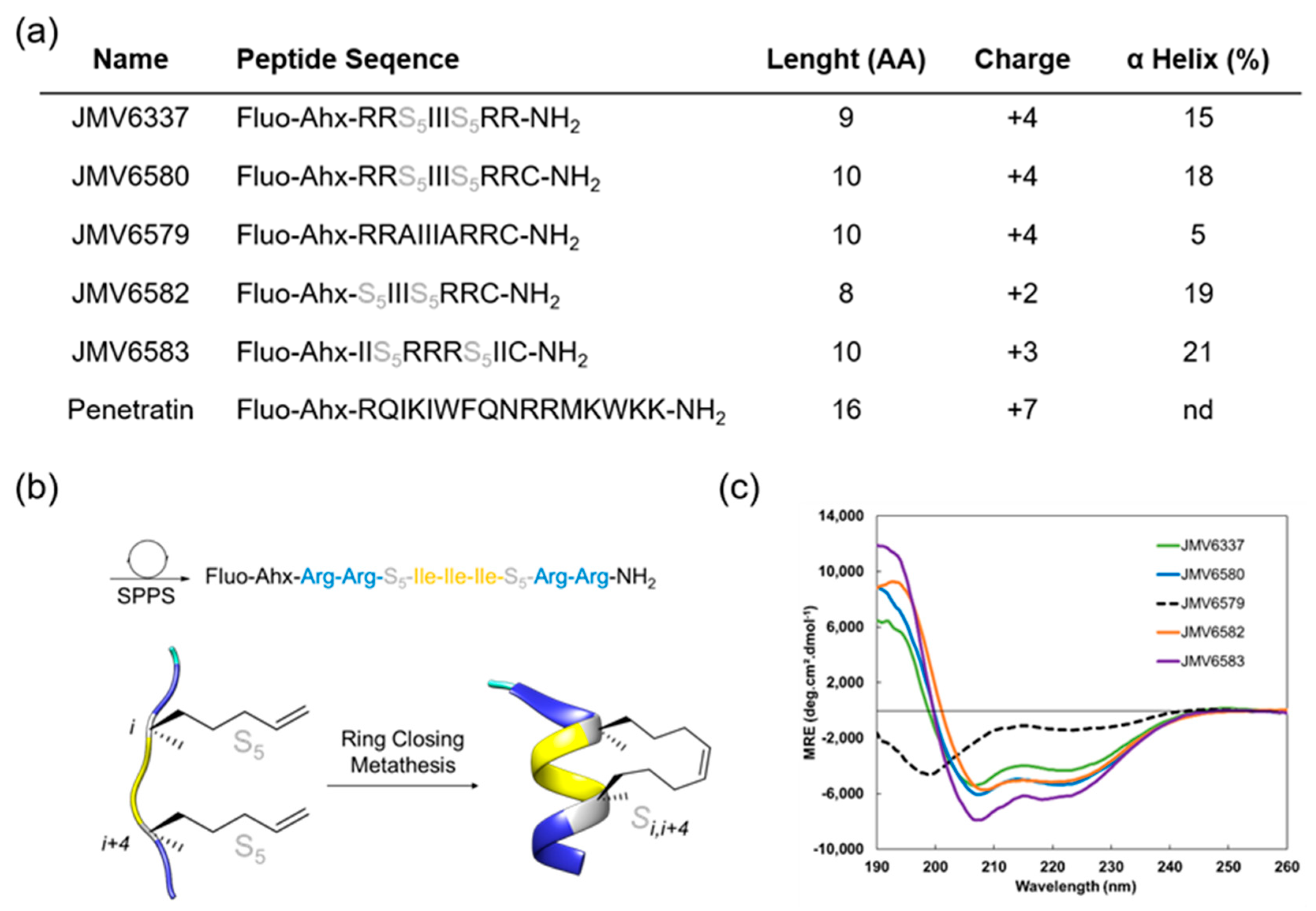 Nanomaterials 10 02334 g001