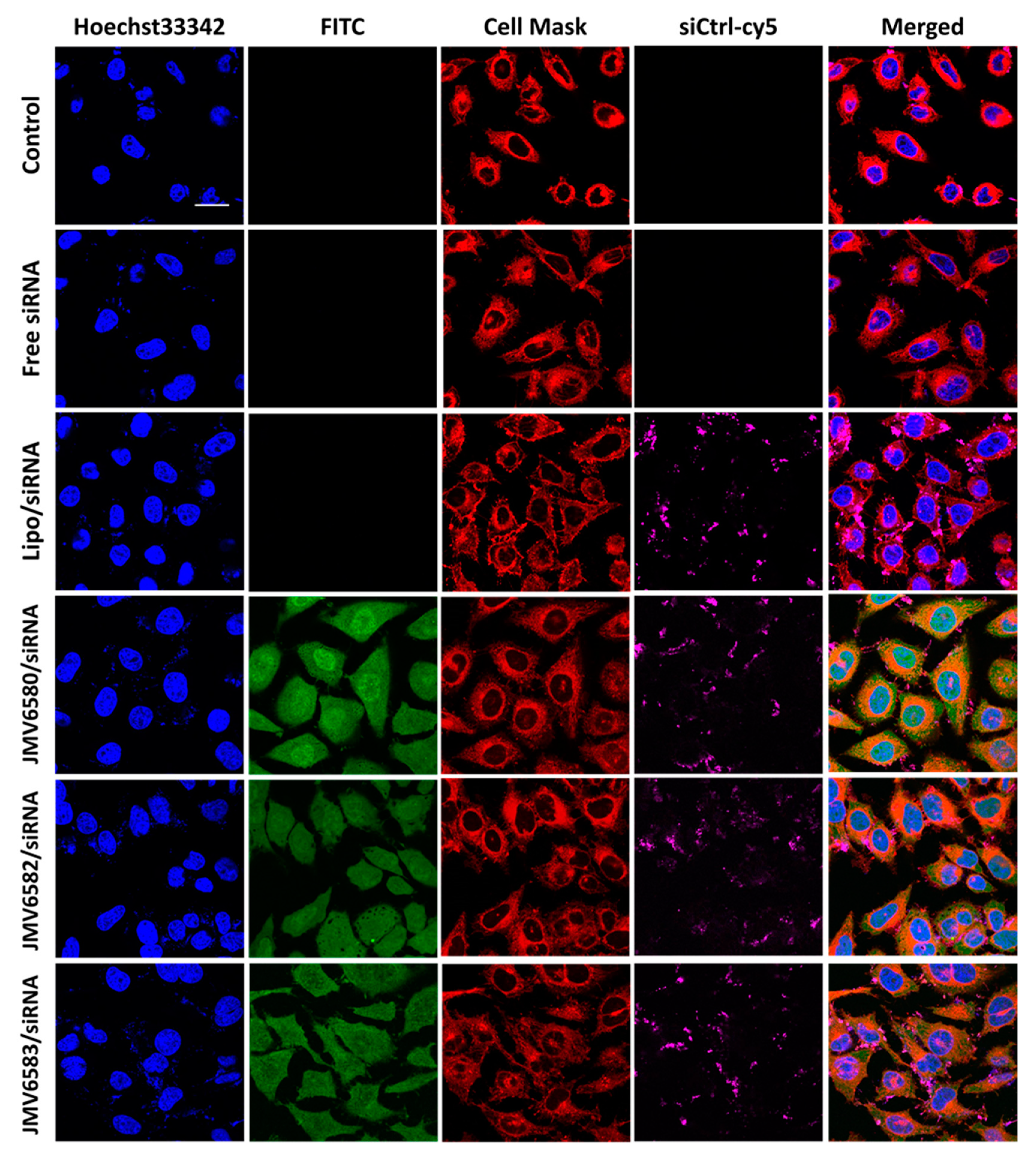 Nanomaterials 10 02334 g004