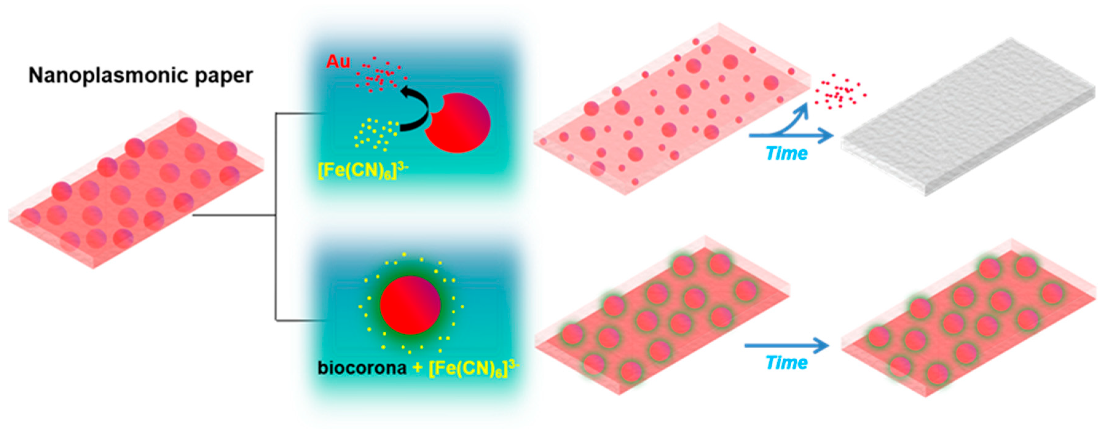 Nanomaterials 10 02335 g006
