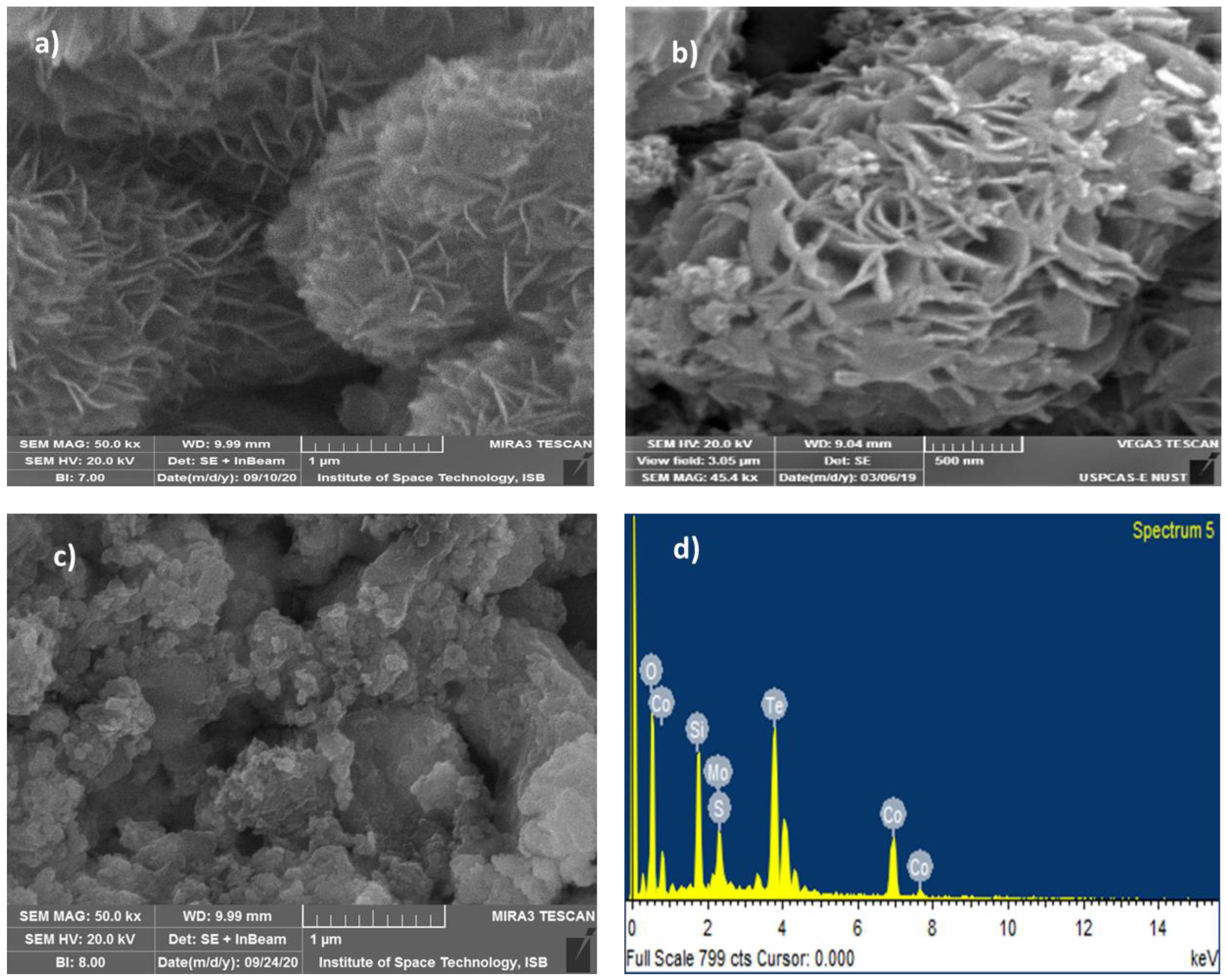Nanomaterials 10 02341 g002