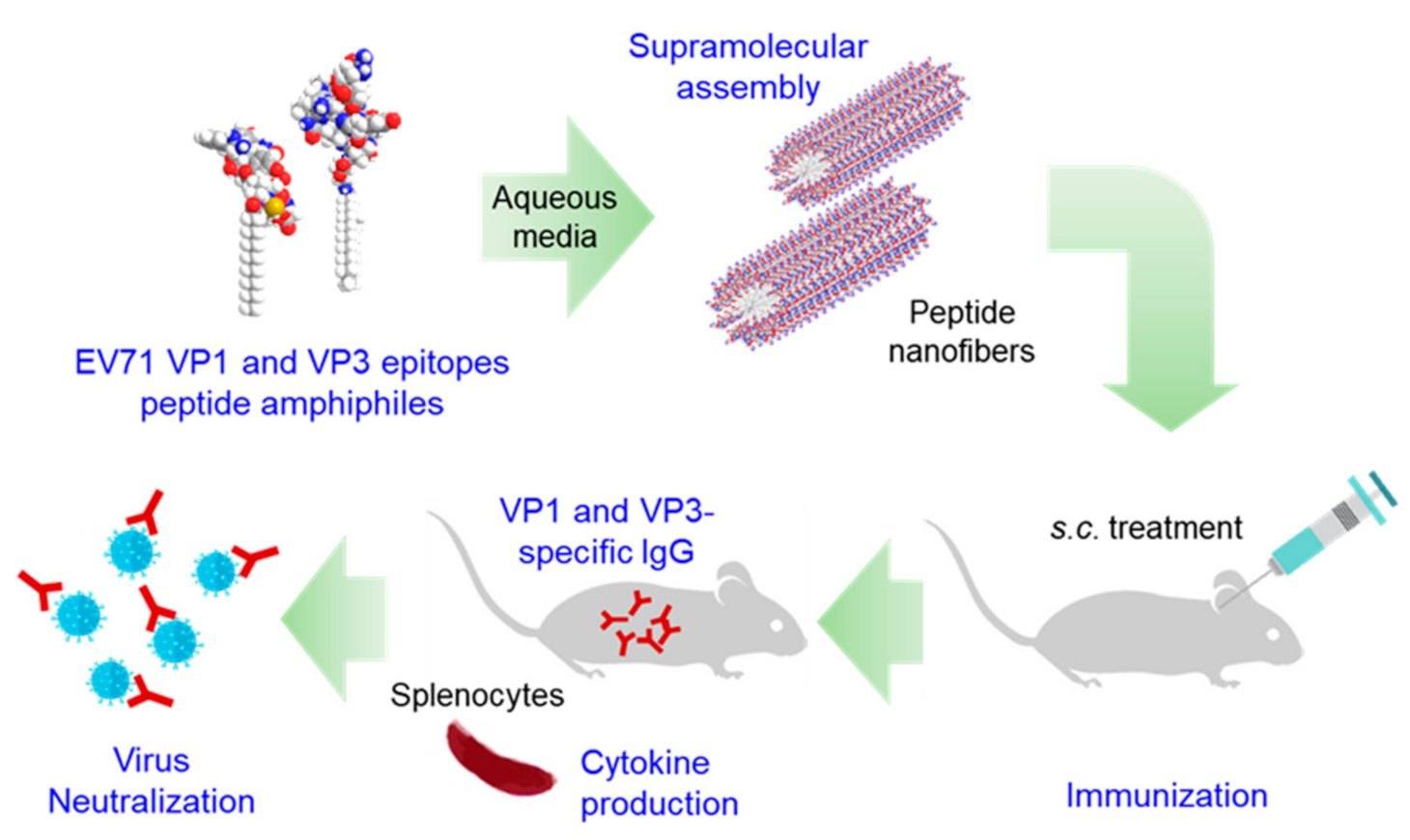 Nanomaterials 10 02342 g001