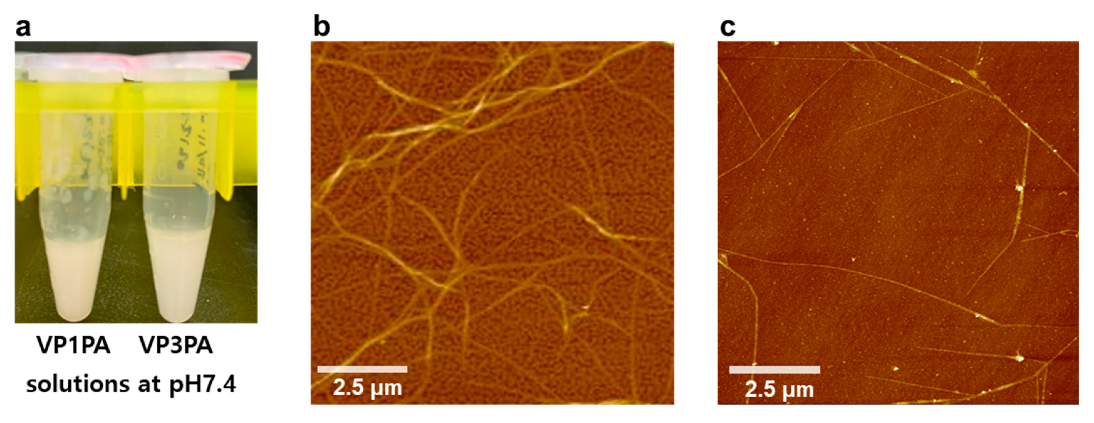 Nanomaterials 10 02342 g003