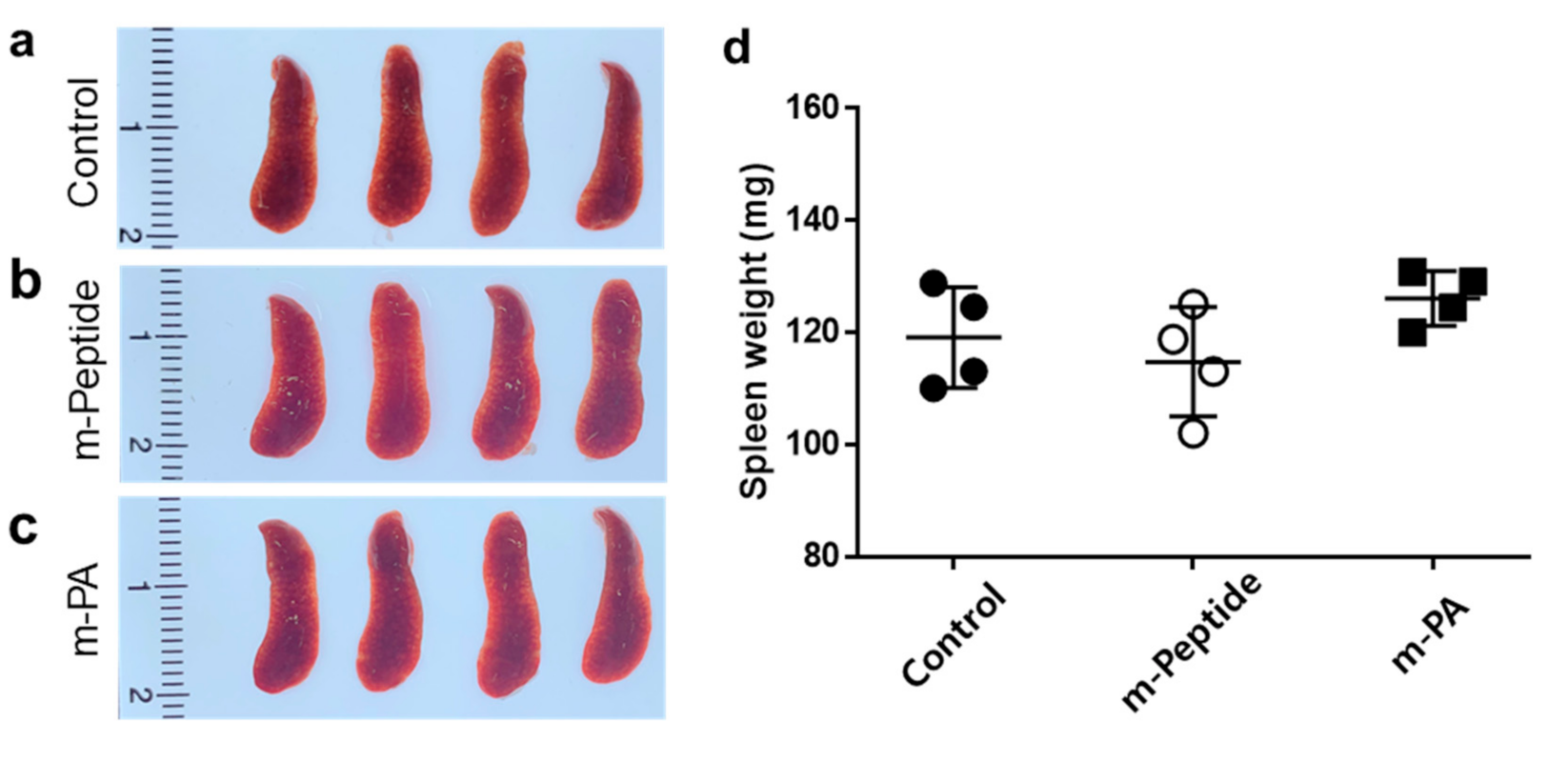 Nanomaterials 10 02342 g004