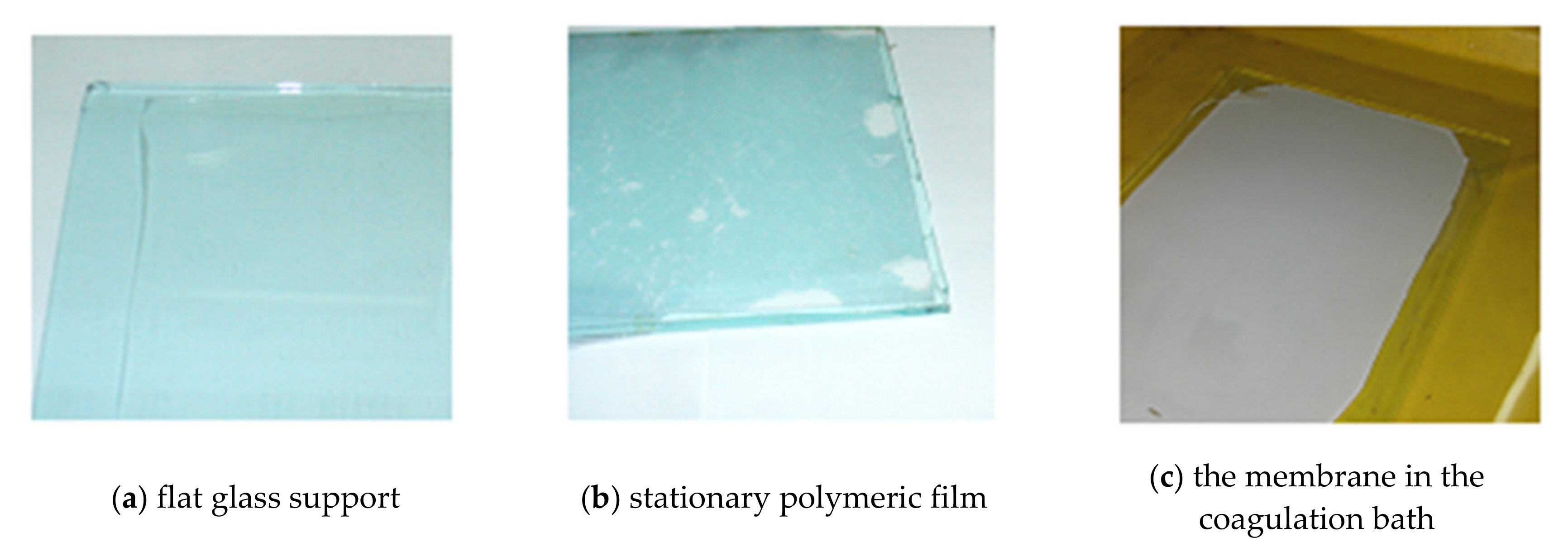 Nanomaterials 10 02349 g005 Nanomaterials 10 02349 g005