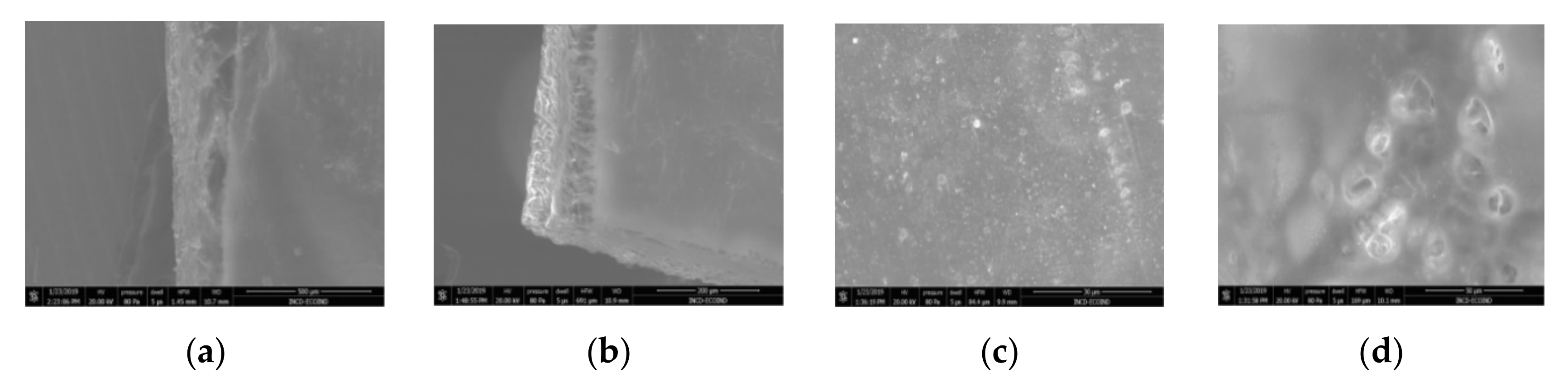 Nanomaterials 10 02349 g010 Nanomaterials 10 02349 g010