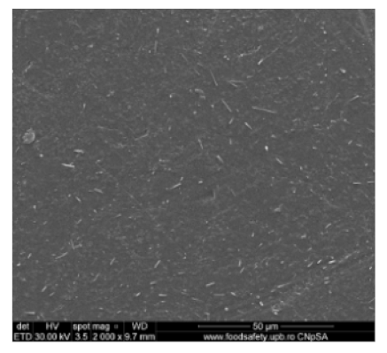 Nanomaterials 10 02349 i003 Nanomaterials 10 02349 i003