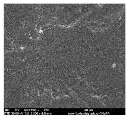 Nanomaterials 10 02349 i005 Nanomaterials 10 02349 i005