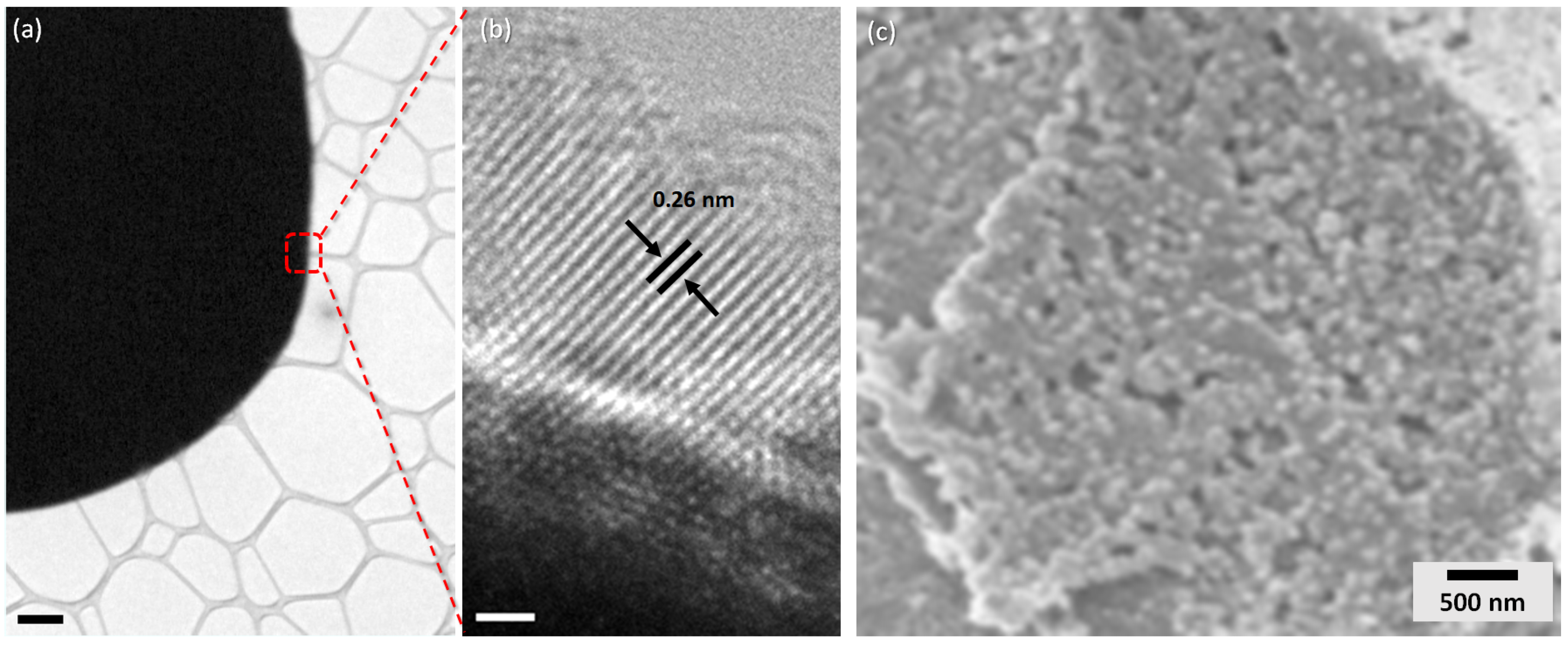 nanomaterials free full text rhodamine b doped zno monodisperse microcapsules droplet based synthesis dynamics and self organization of zno nanoparticles and dye molecules html