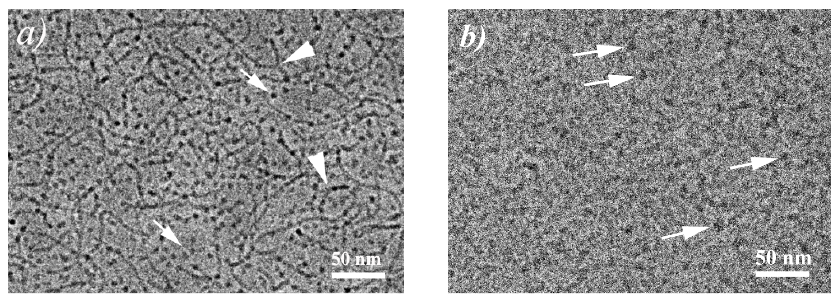 Nanomaterials 10 02353 g004 Nanomaterials 10 02353 g004