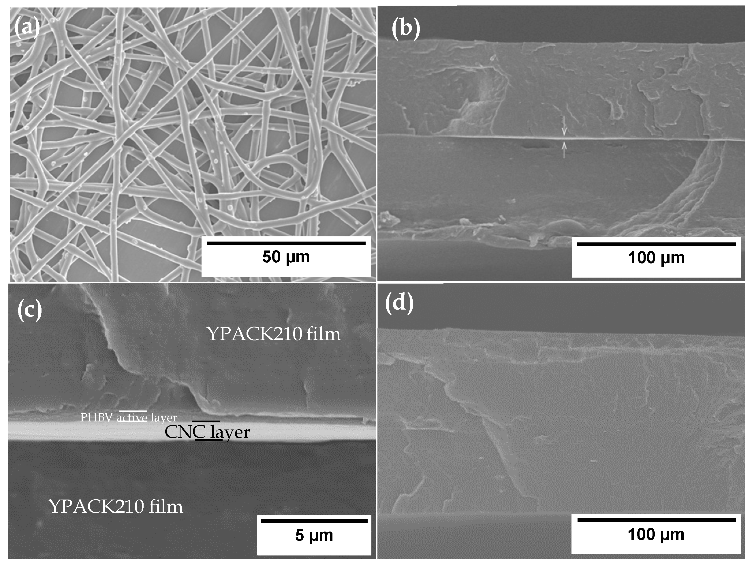 Nanomaterials 10 02356 g002 Nanomaterials 10 02356 g002