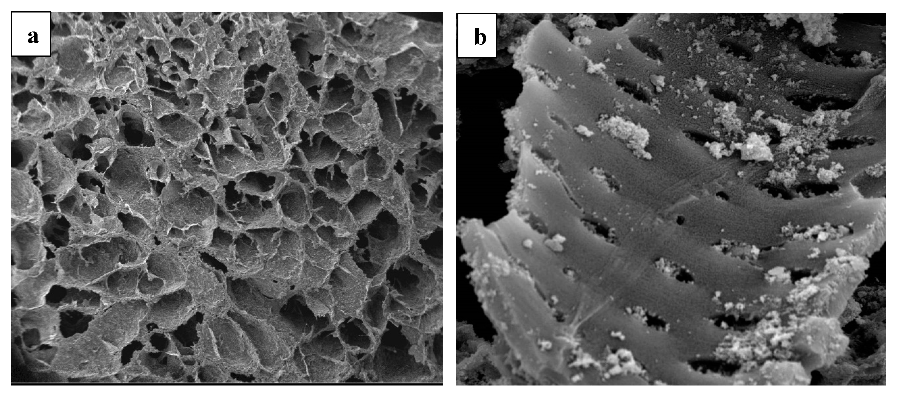 Nanomaterials 10 02360 g002 Nanomaterials 10 02360 g002