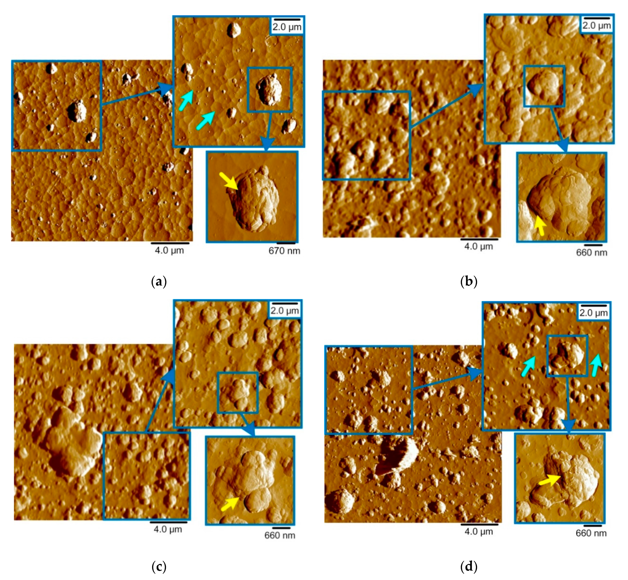 Nanomaterials 10 02361 g004 Nanomaterials 10 02361 g004