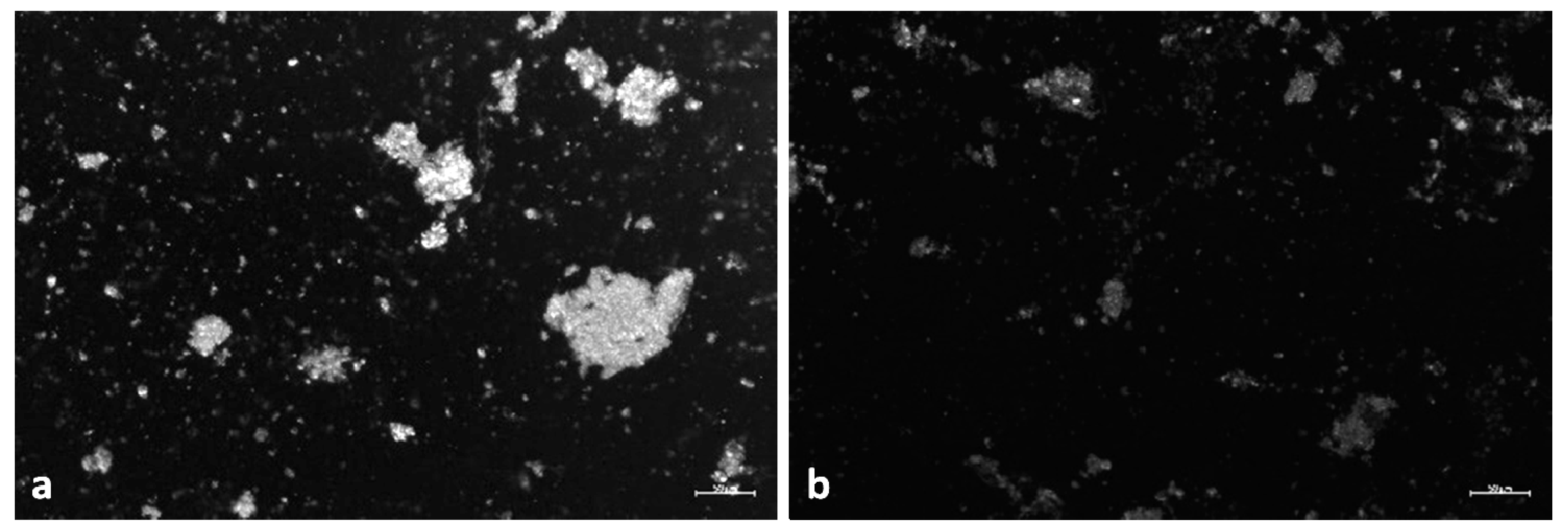 Nanomaterials 10 02363 g004 Nanomaterials 10 02363 g004