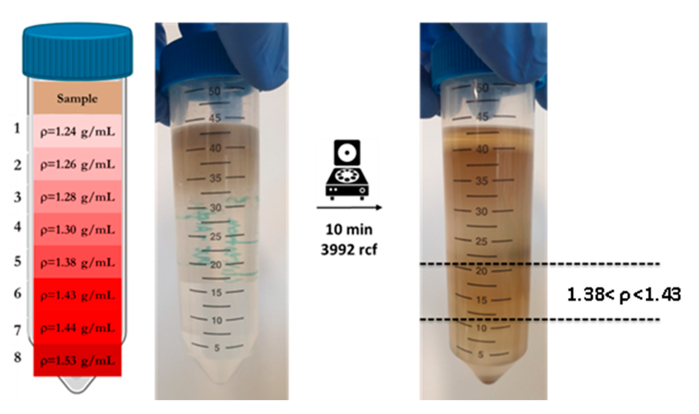 Nanomaterials 10 02363 g005 Nanomaterials 10 02363 g005