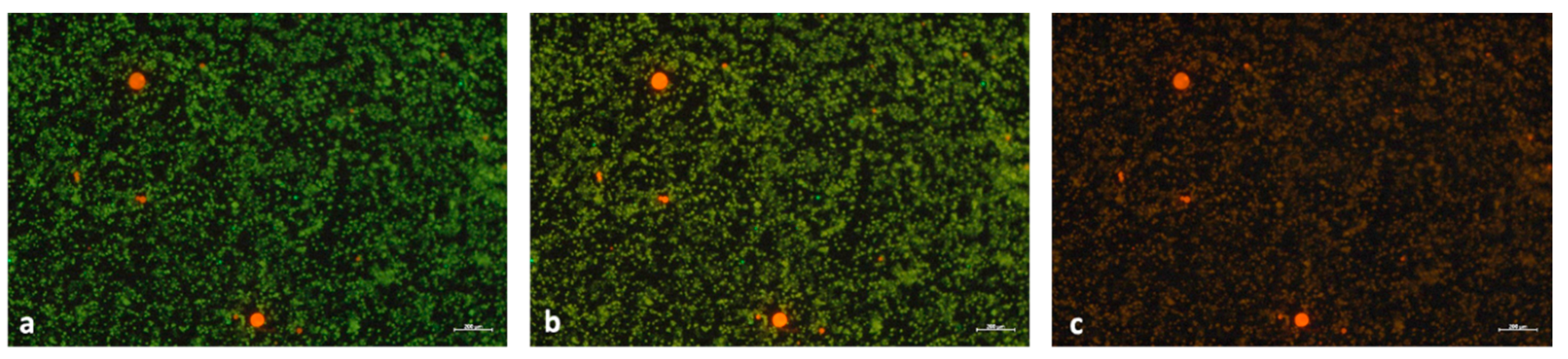Nanomaterials 10 02363 g006 Nanomaterials 10 02363 g006