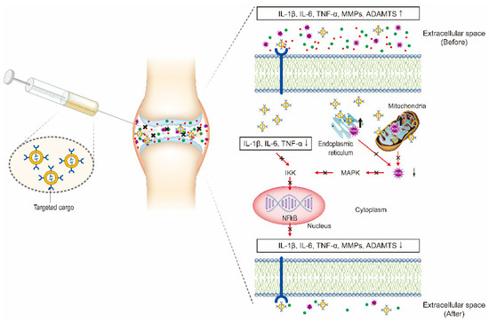 Nanomaterials 10 02368 g003 550