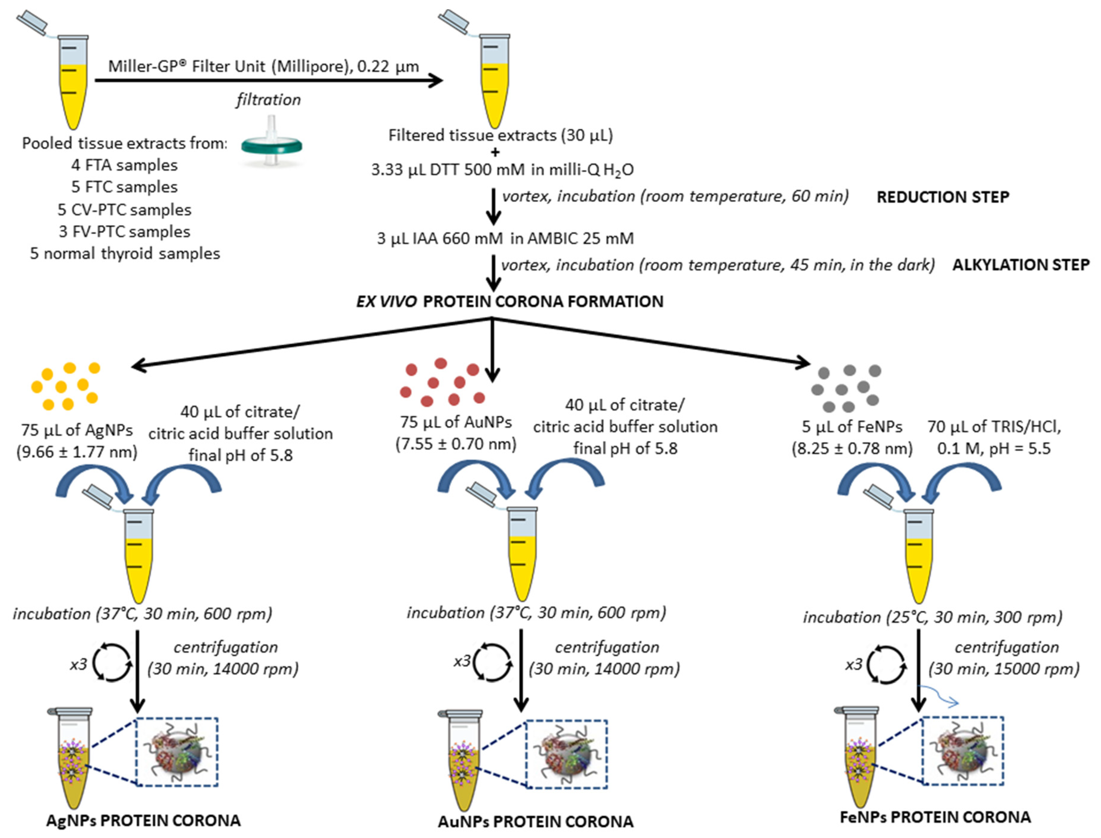Nanomaterials 10 02370 g002 Nanomaterials 10 02370 g002