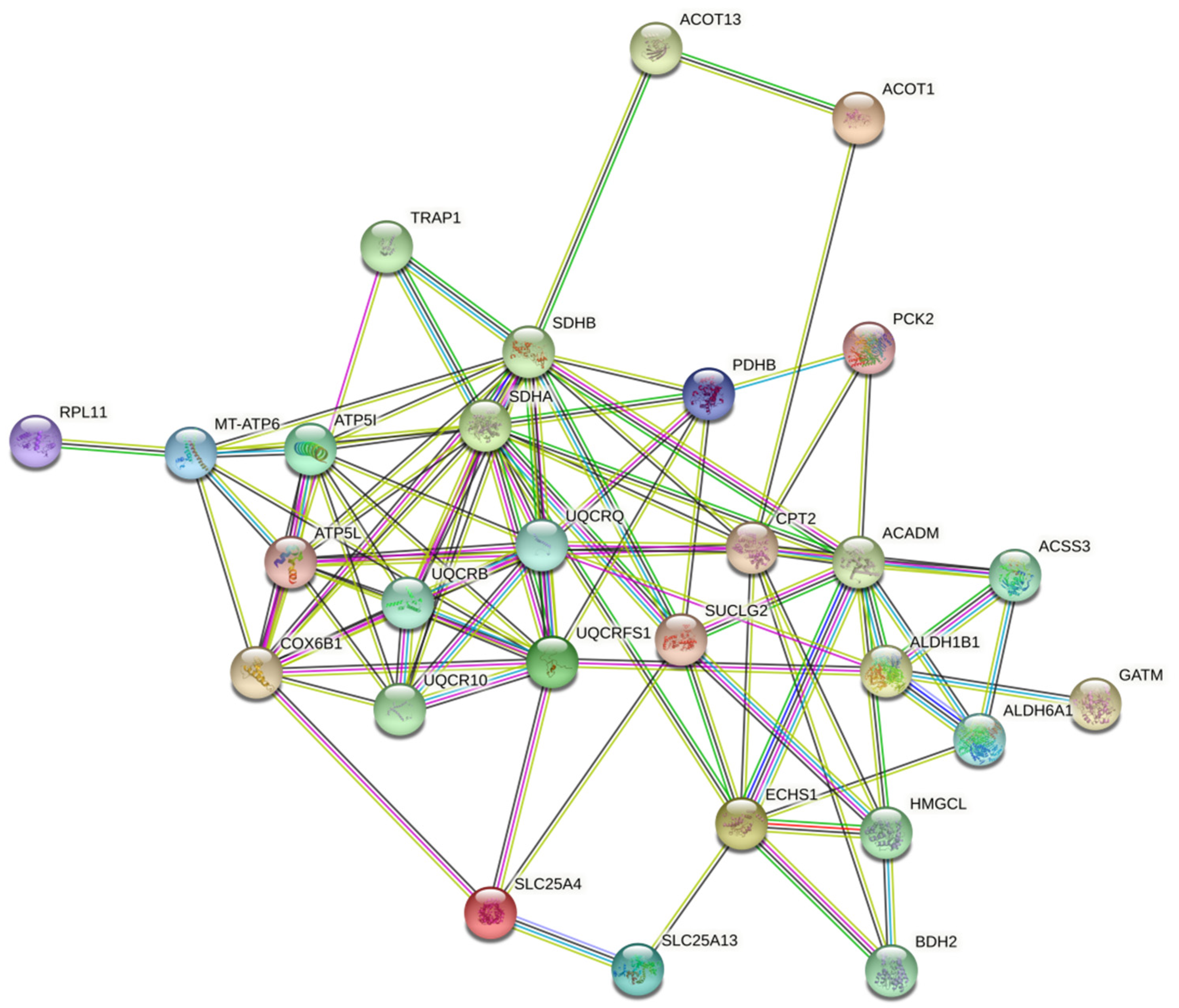 Nanomaterials 10 02370 g006 Nanomaterials 10 02370 g006