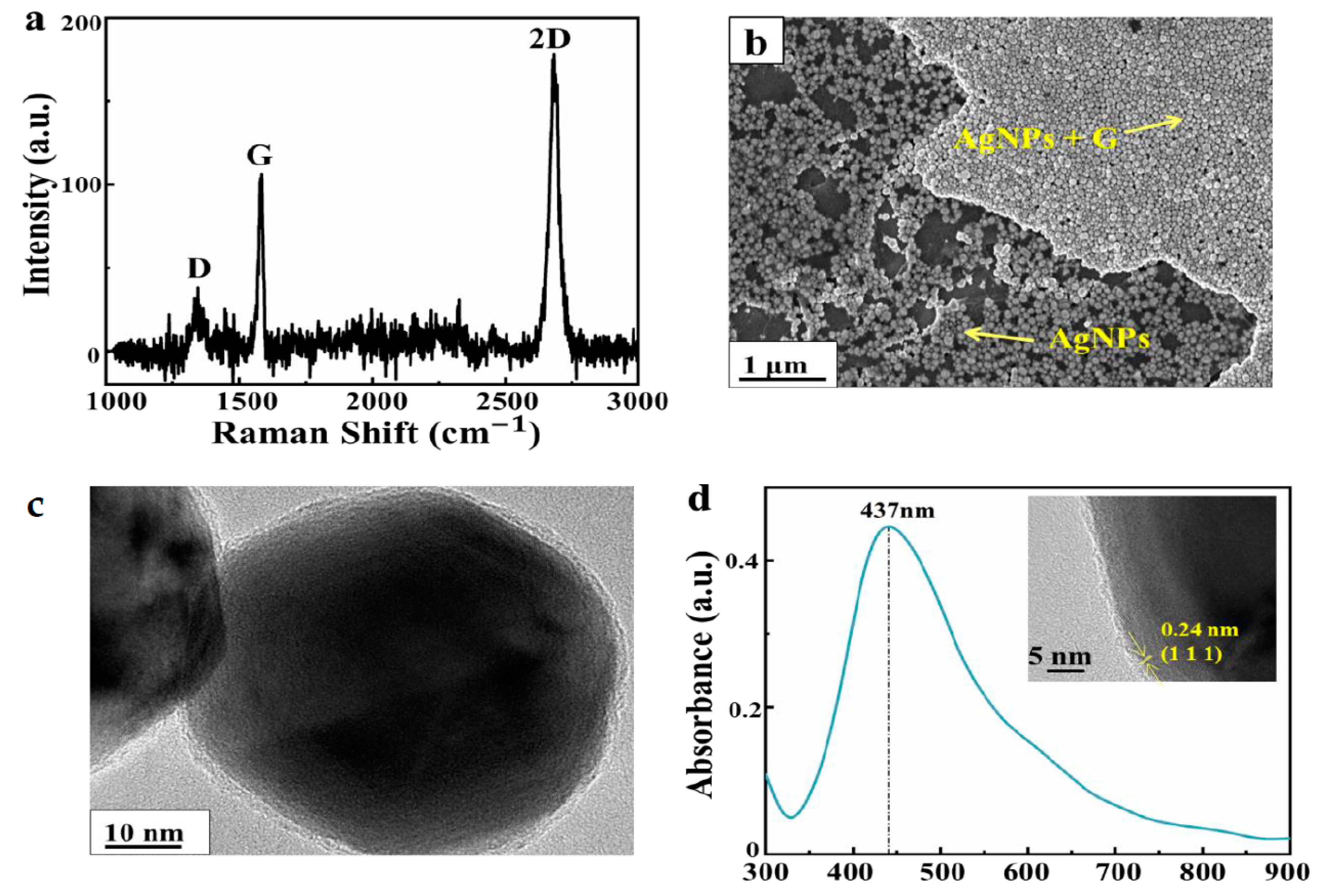 Nanomaterials 10 02371 g002