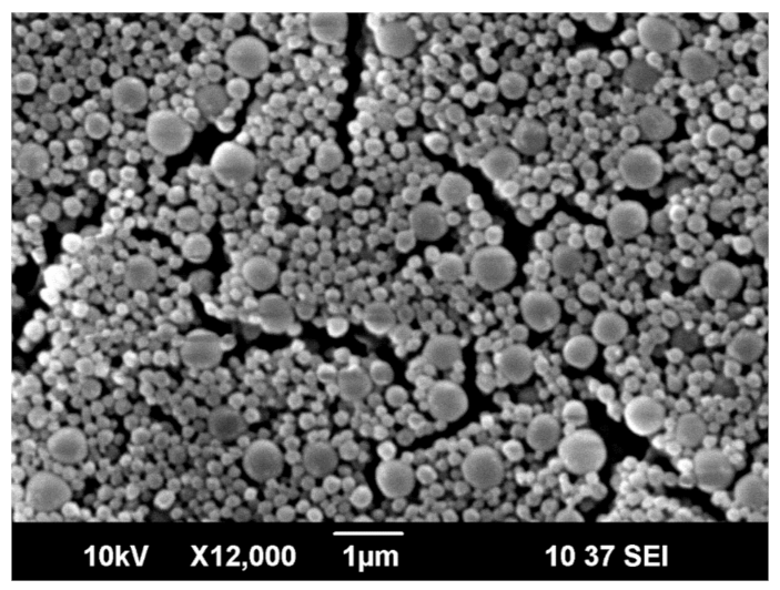 Nanomaterials 10 02374 g002 Nanomaterials 10 02374 g002