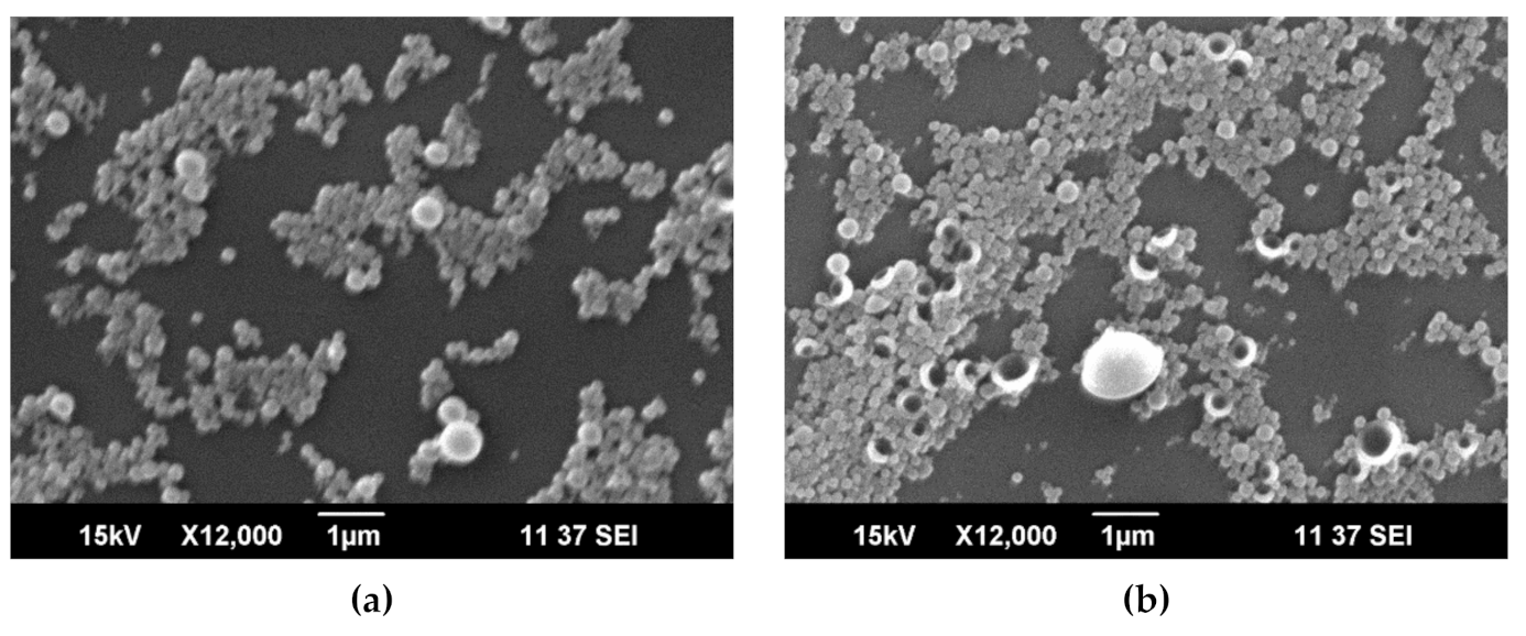Nanomaterials 10 02374 g004a Nanomaterials 10 02374 g004a