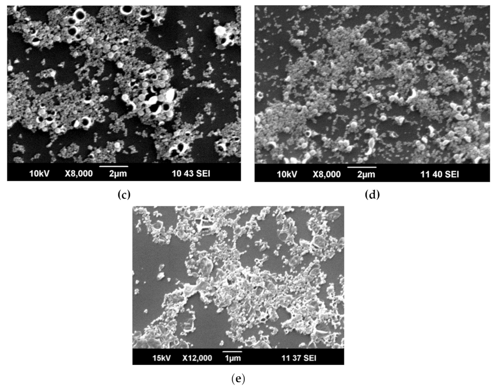 Nanomaterials 10 02374 g004b Nanomaterials 10 02374 g004b