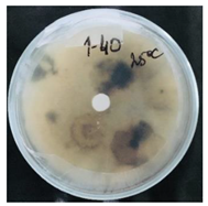 Nanomaterials 10 02374 i003 Nanomaterials 10 02374 i003