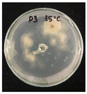 Nanomaterials 10 02374 i010 Nanomaterials 10 02374 i010