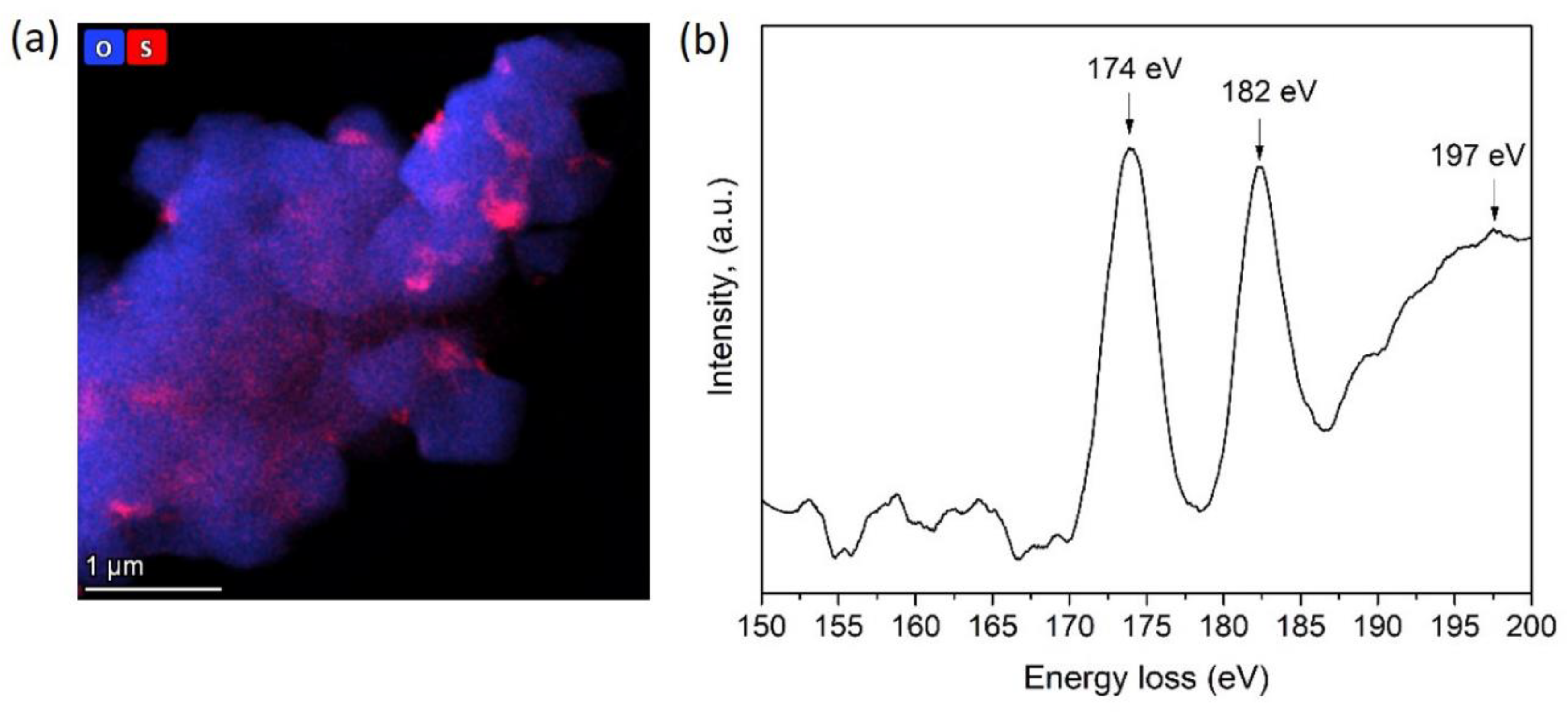 Nanomaterials 10 02381 g007