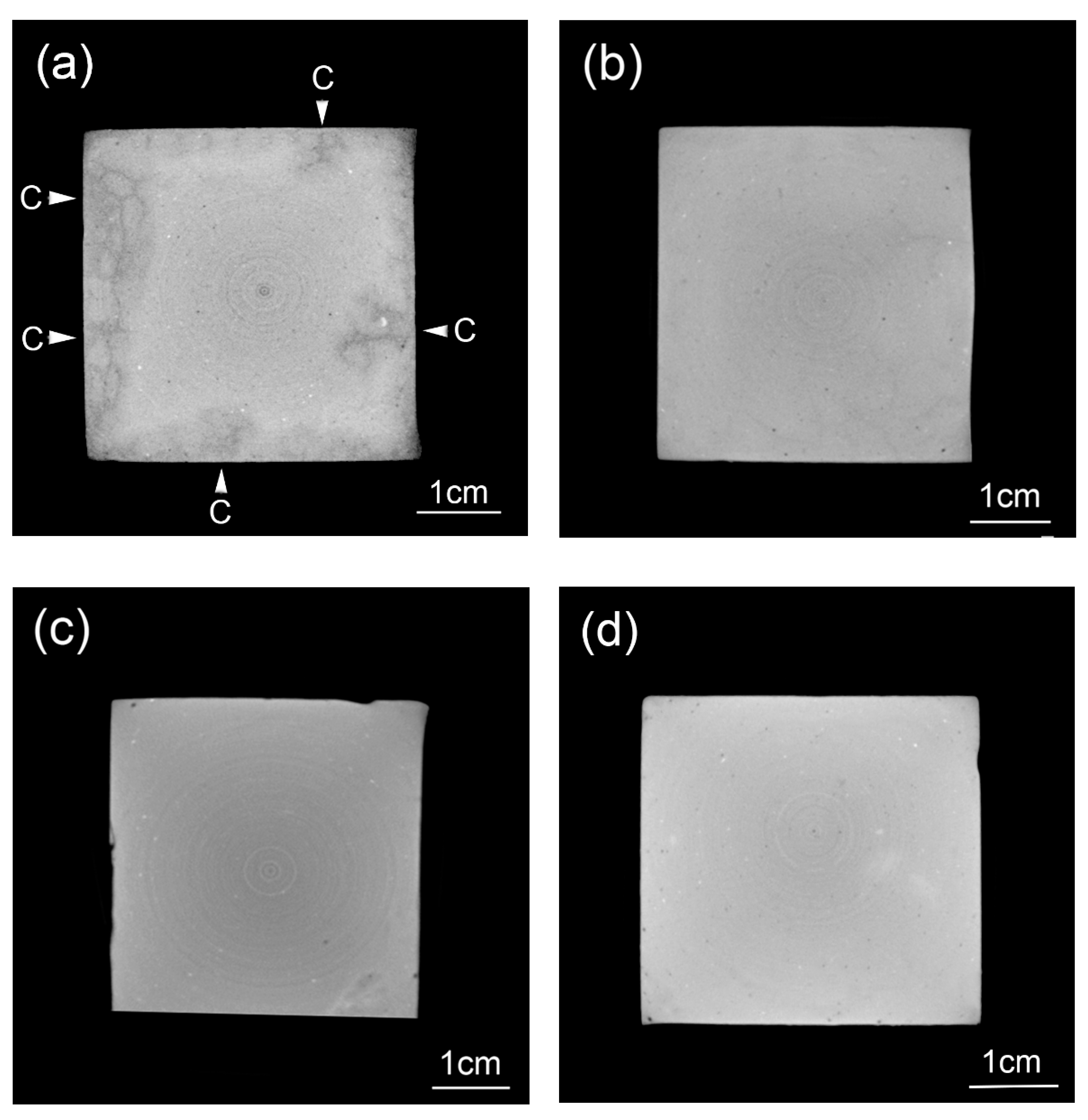 Nanomaterials 10 02385 g009