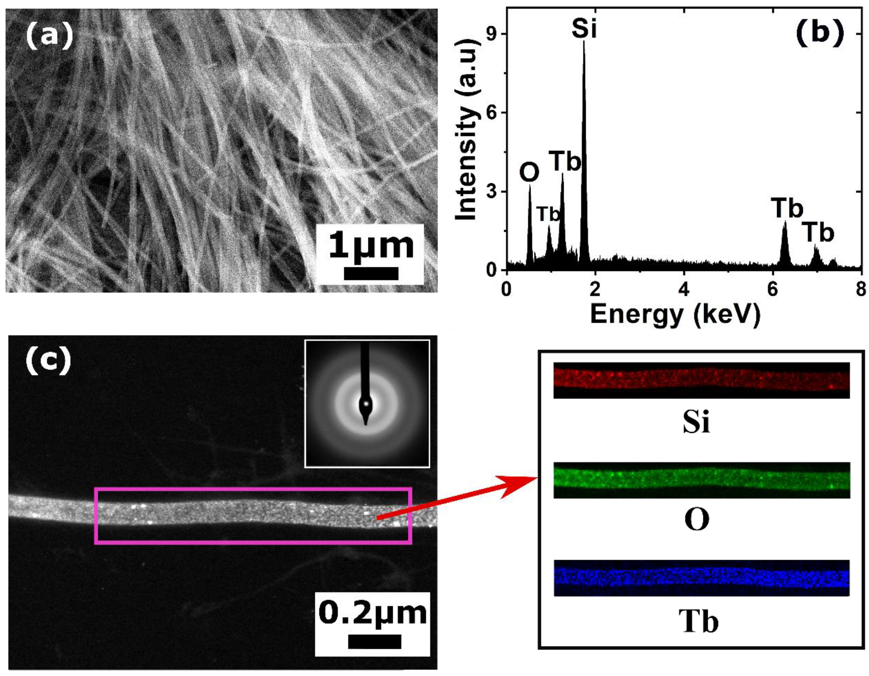 Nanomaterials 10 02390 g003