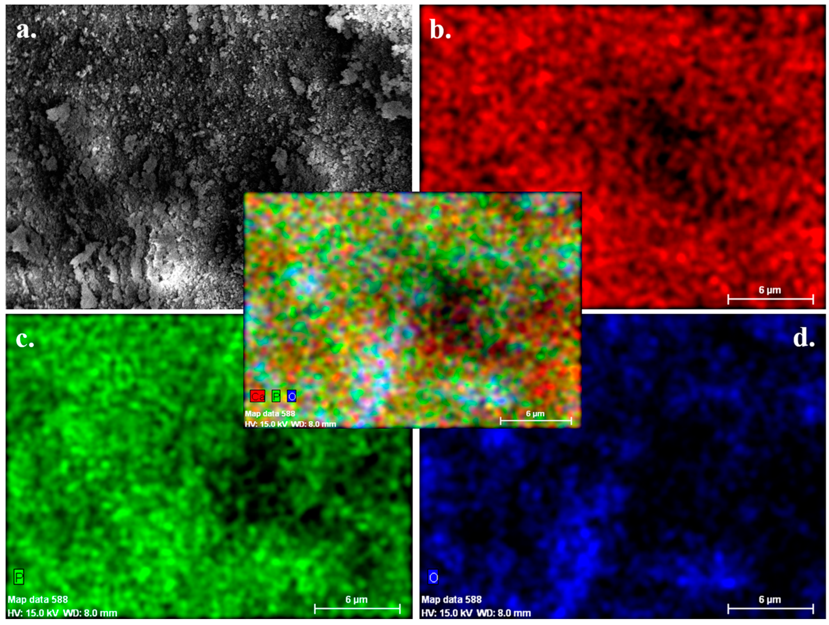 Nanomaterials 10 02396 g003