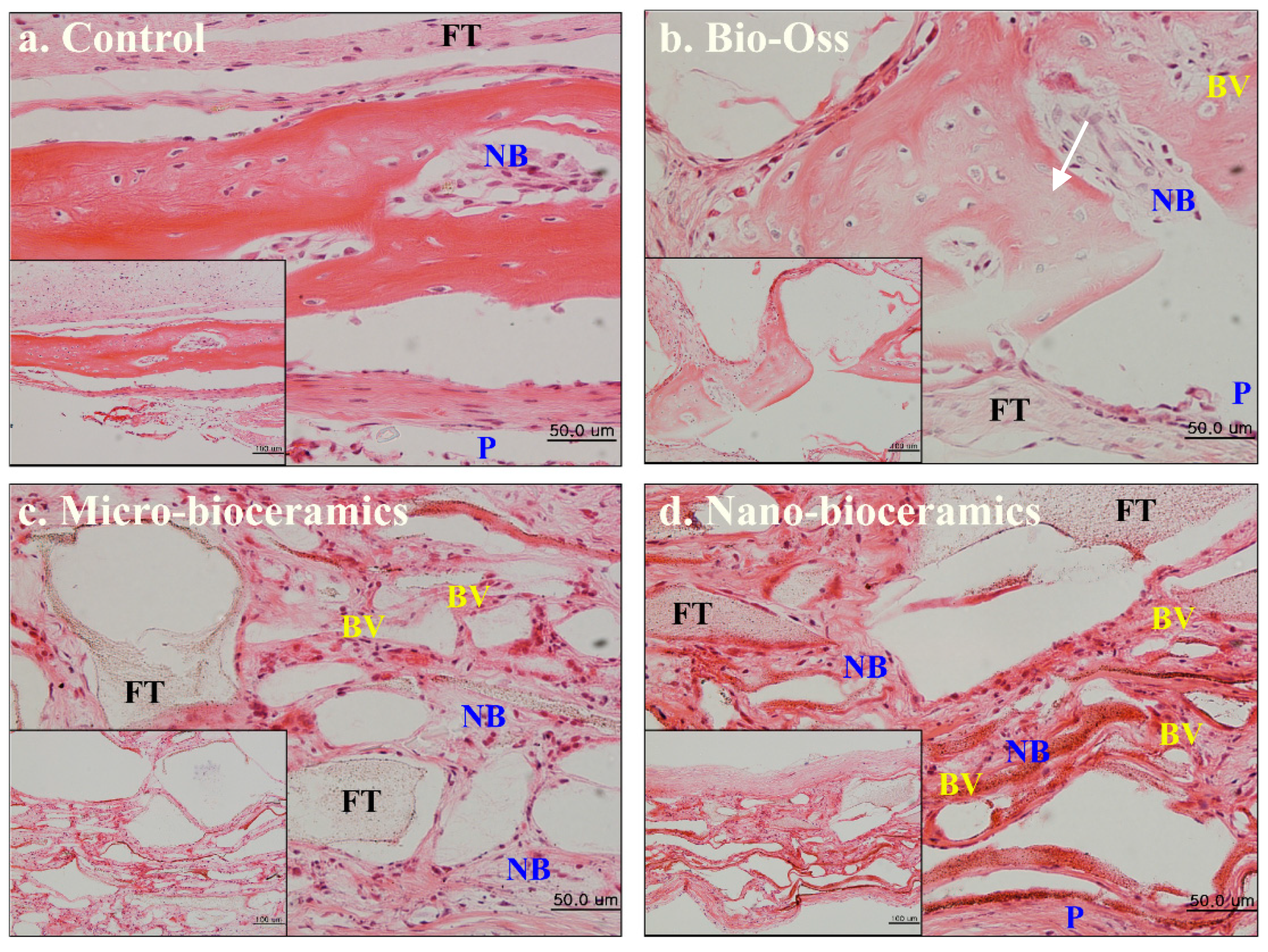 Nanomaterials 10 02396 g009