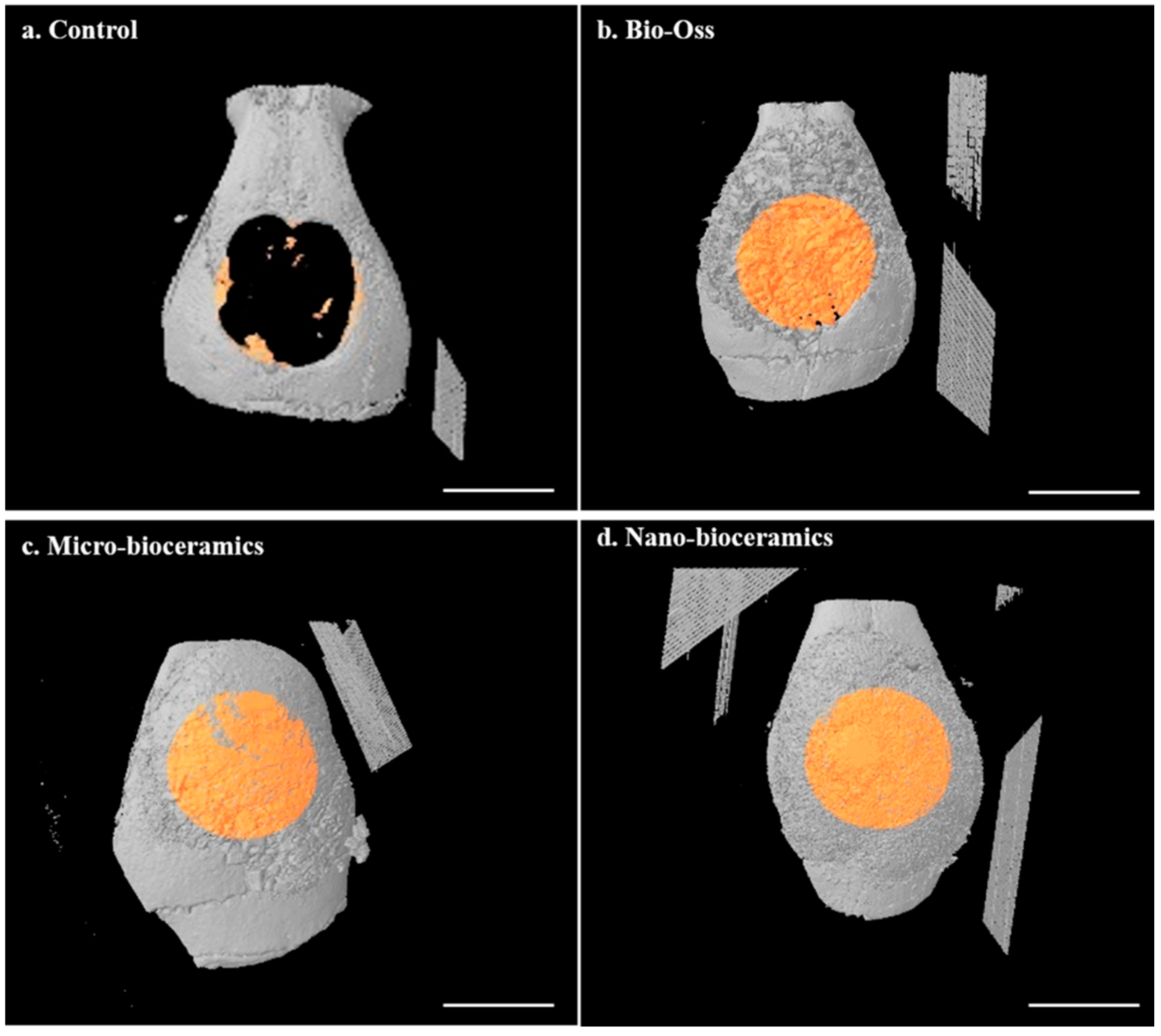 Nanomaterials 10 02396 g010