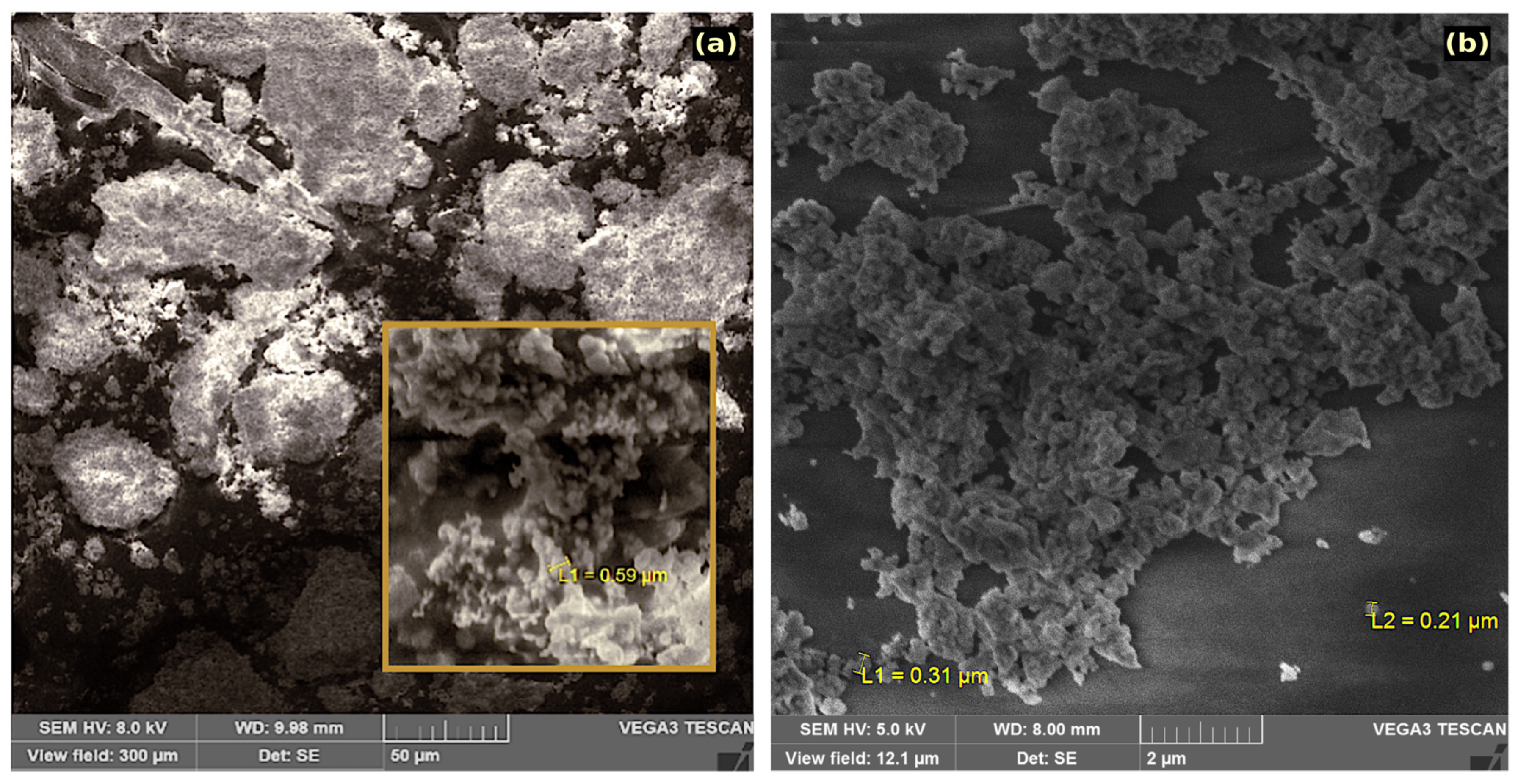 Nanomaterials 10 02400 g001 Nanomaterials 10 02400 g001