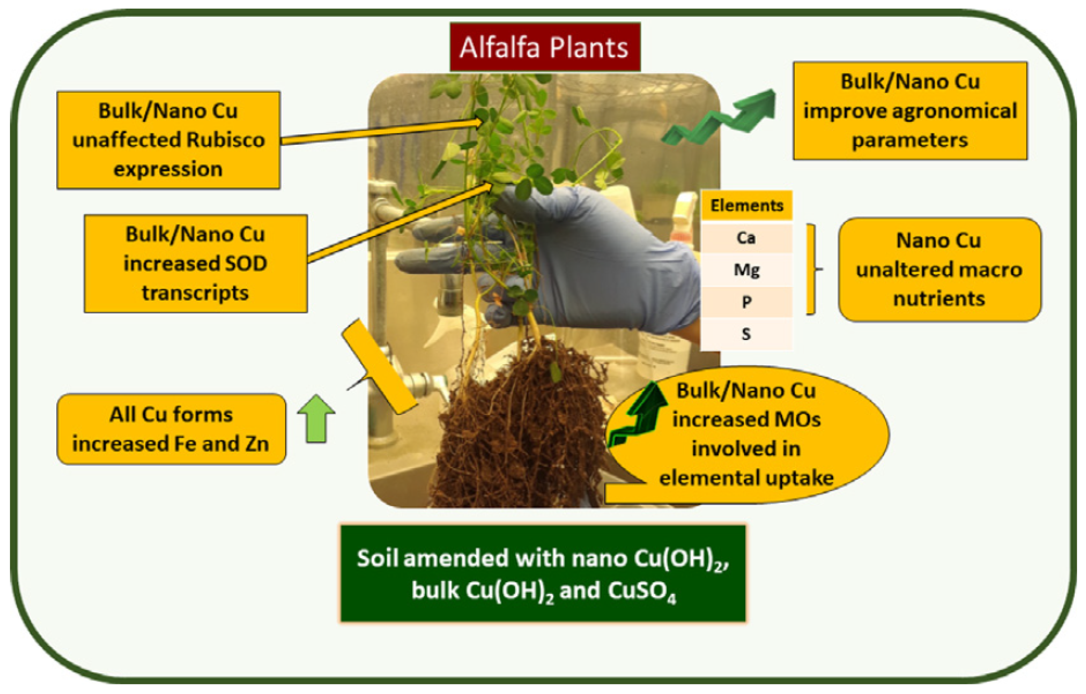 Nanomaterials 10 02411 g004 Nanomaterials 10 02411 g004
