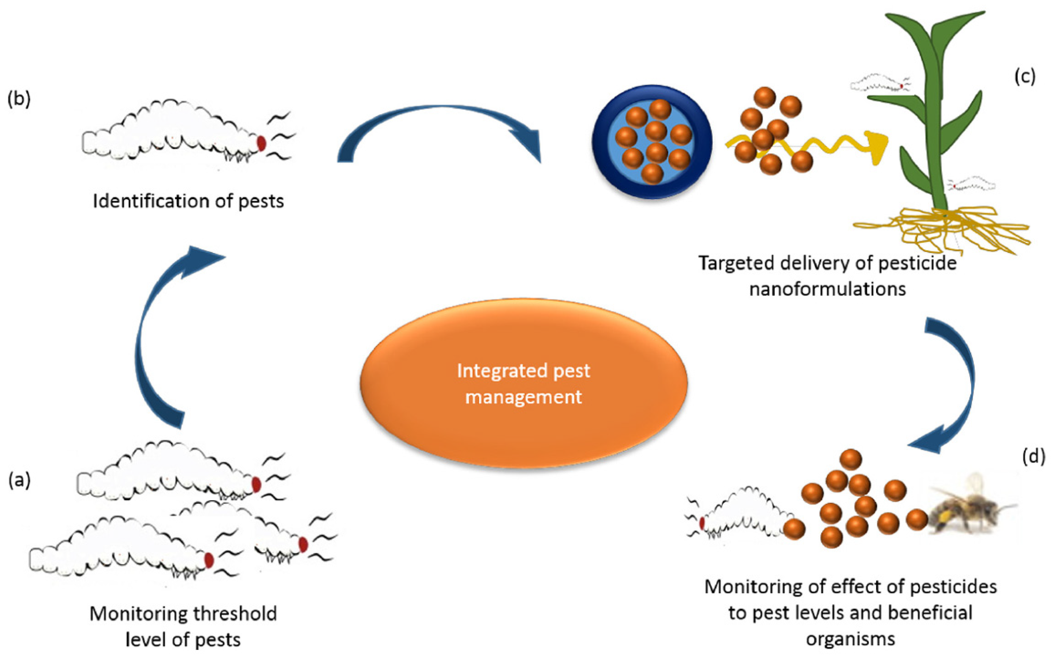 Nanomaterials 10 02411 g005 Nanomaterials 10 02411 g005