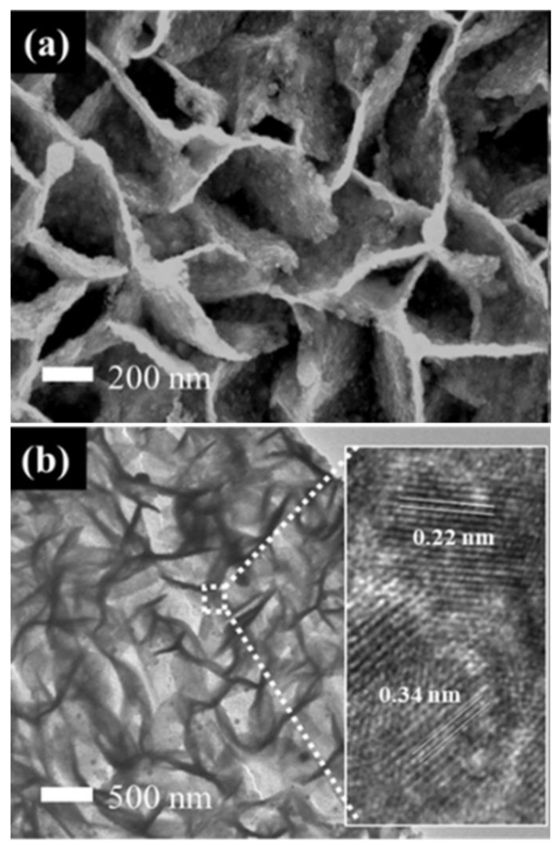 Nanomaterials 10 02412 g005 Nanomaterials 10 02412 g005