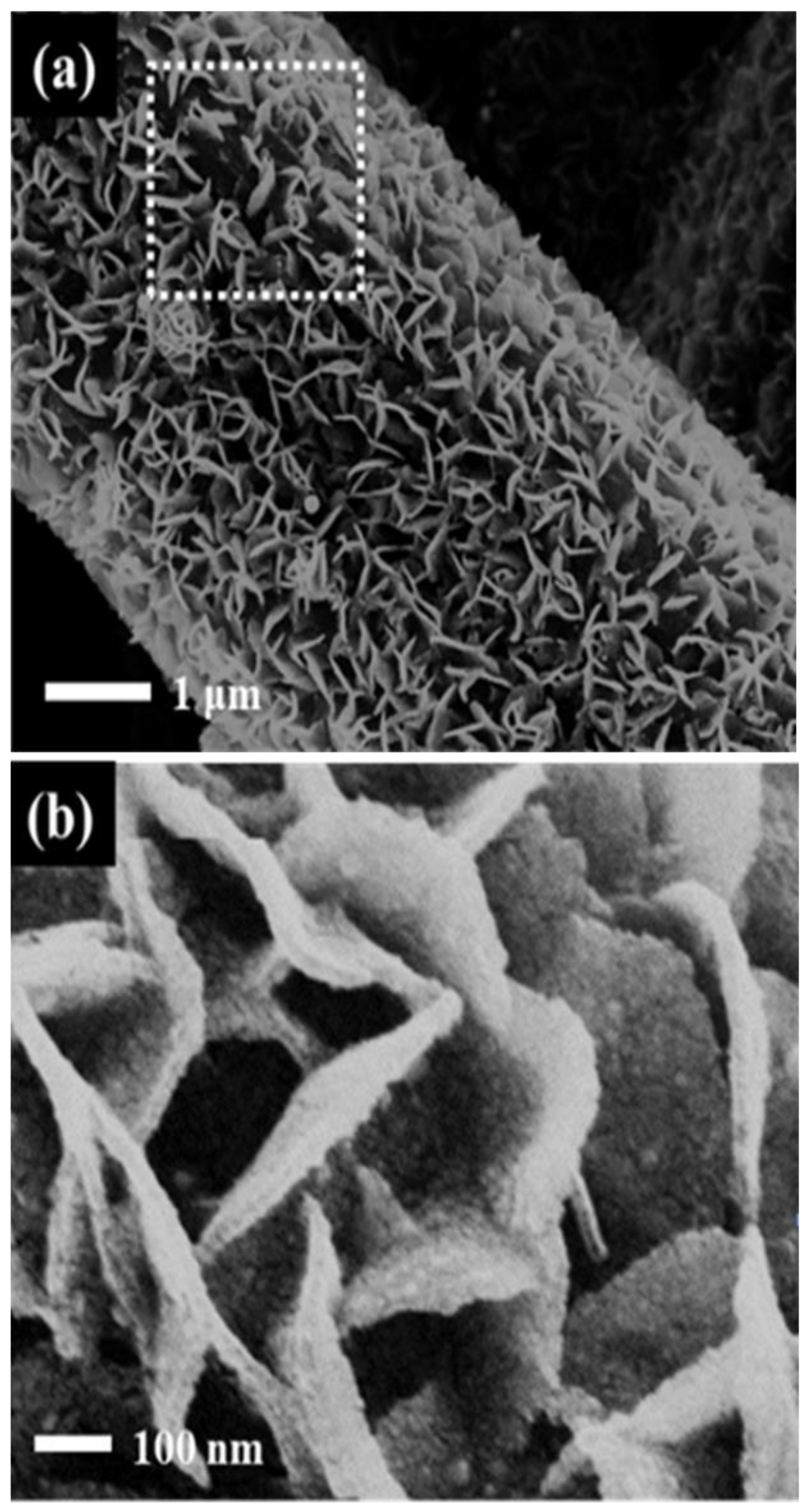 Nanomaterials 10 02412 g009 Nanomaterials 10 02412 g009