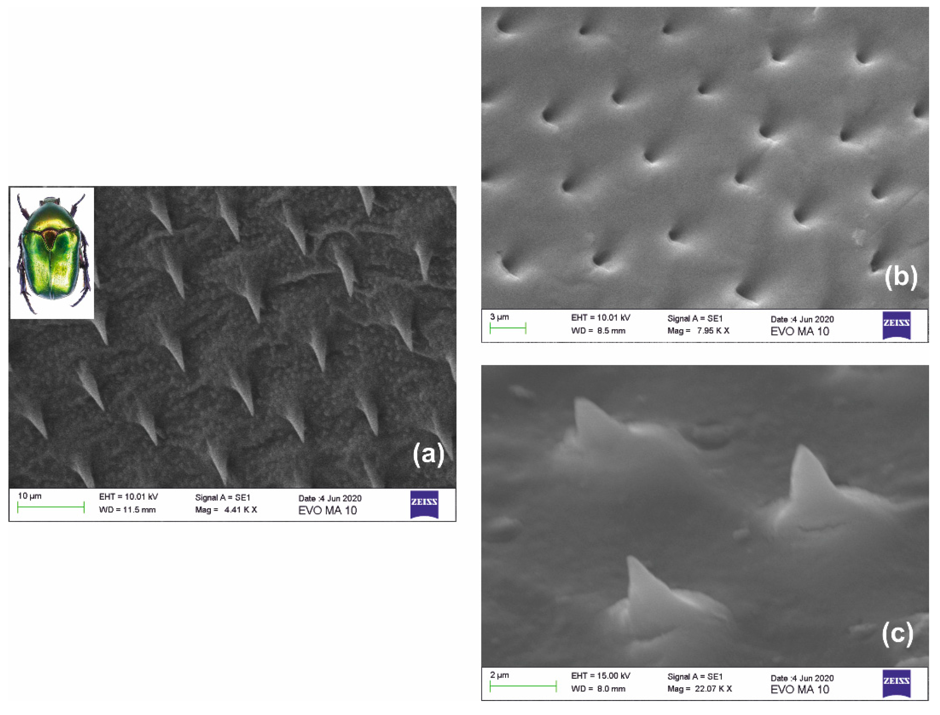 Nanomaterials 10 02418 g008 Nanomaterials 10 02418 g008