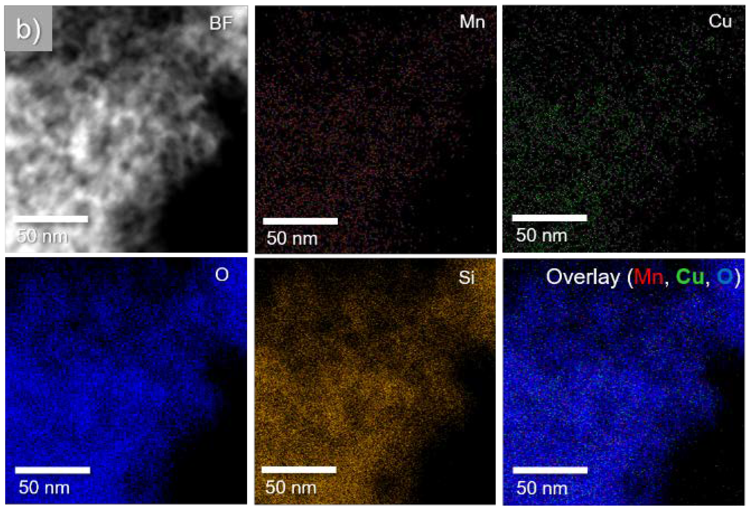 Nanomaterials 10 02419 g006b Nanomaterials 10 02419 g006b