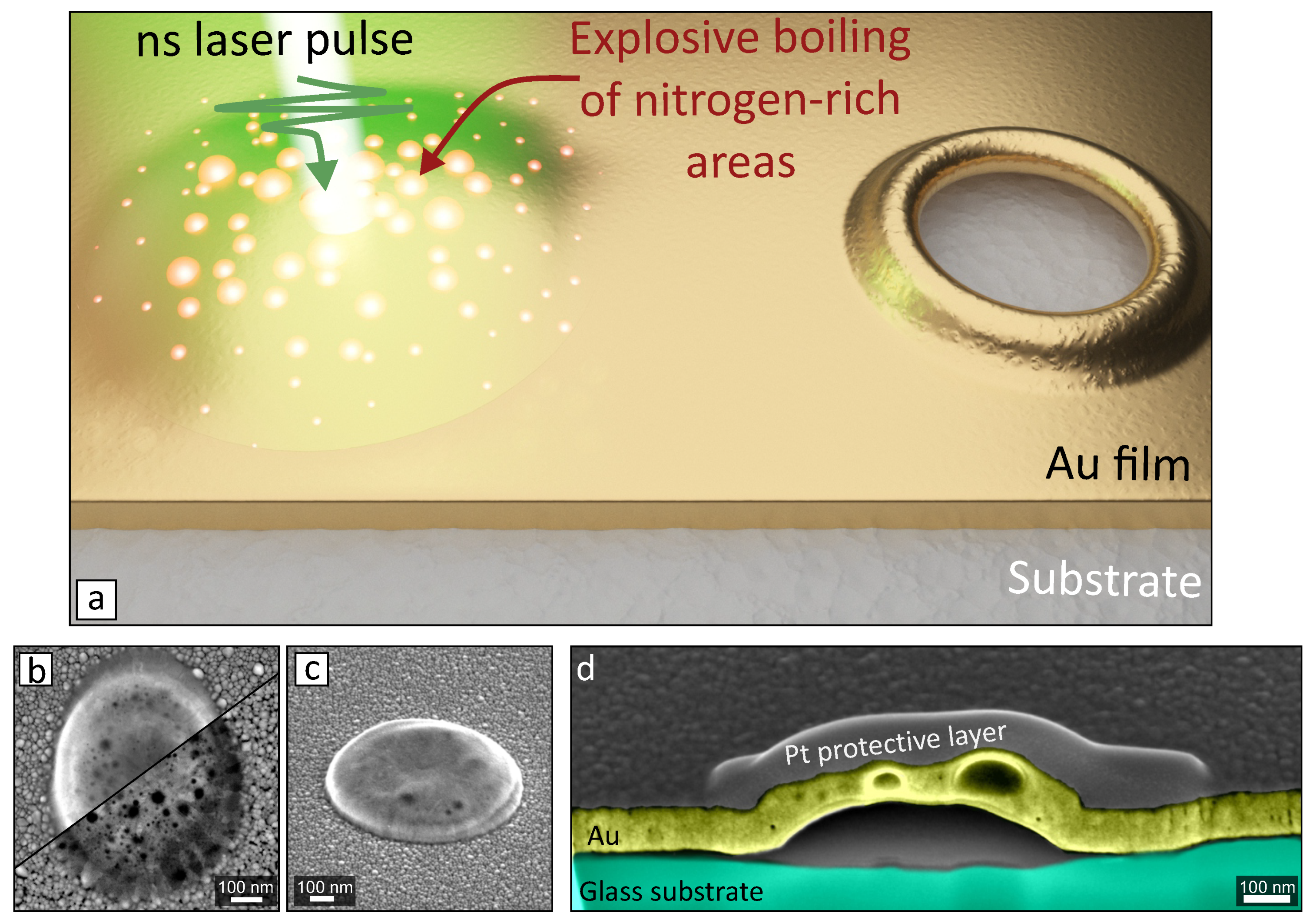 Nanomaterials 10 02427 g001