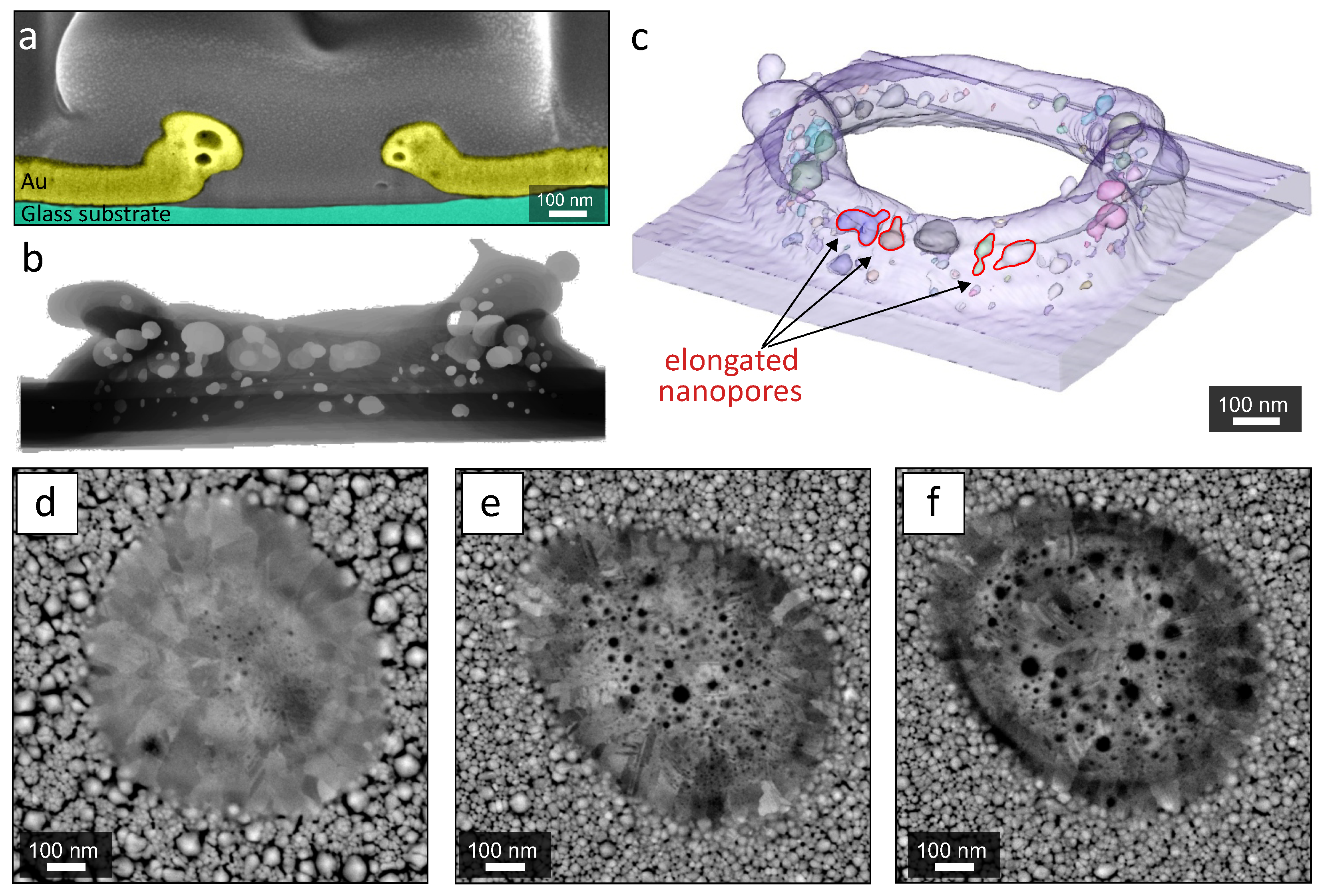 Nanomaterials 10 02427 g002