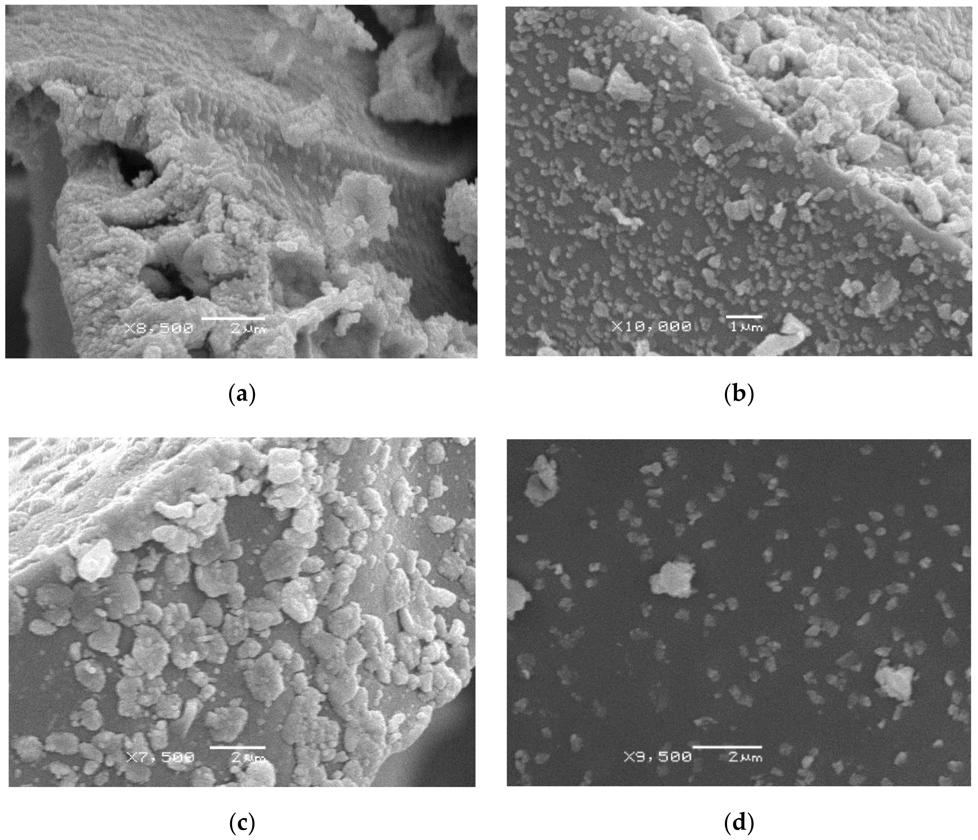 Nanomaterials 10 02428 g006
