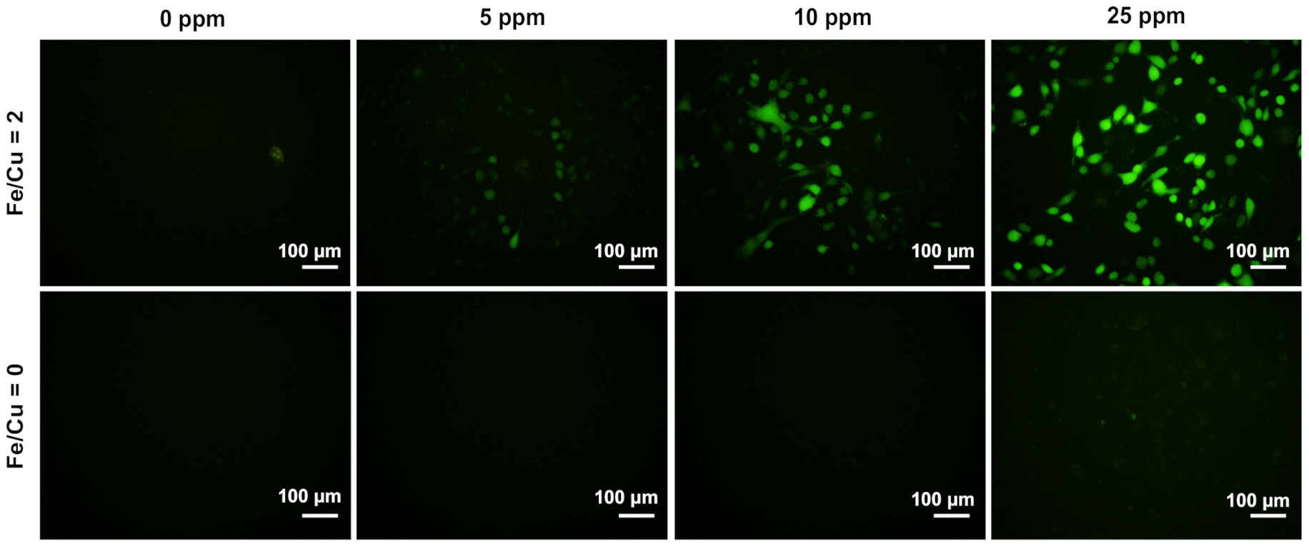 Nanomaterials 10 02429 g006 Nanomaterials 10 02429 g006