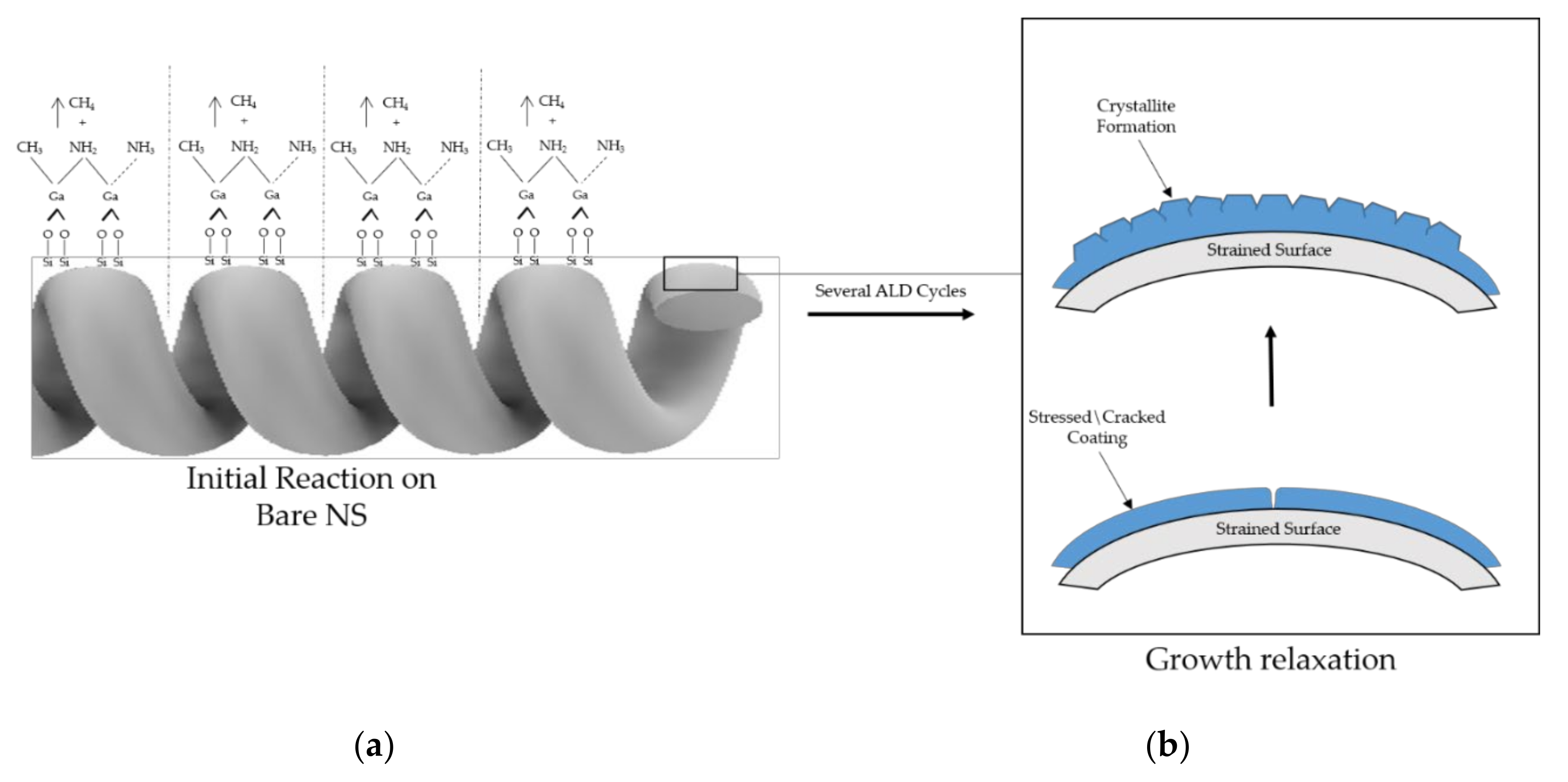 Nanomaterials 10 02434 g008