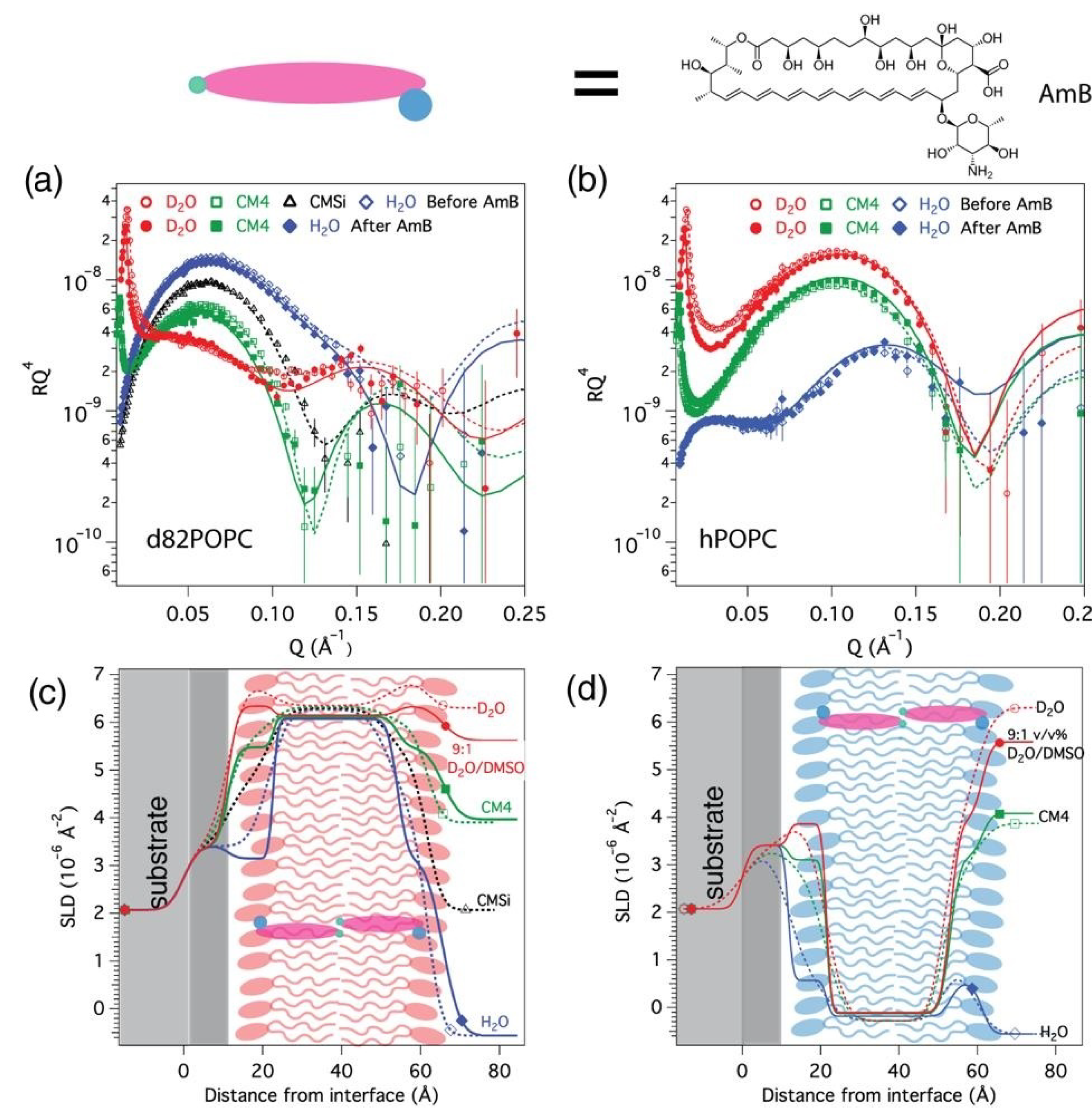 Nanomaterials 10 02439 g001 Nanomaterials 10 02439 g001