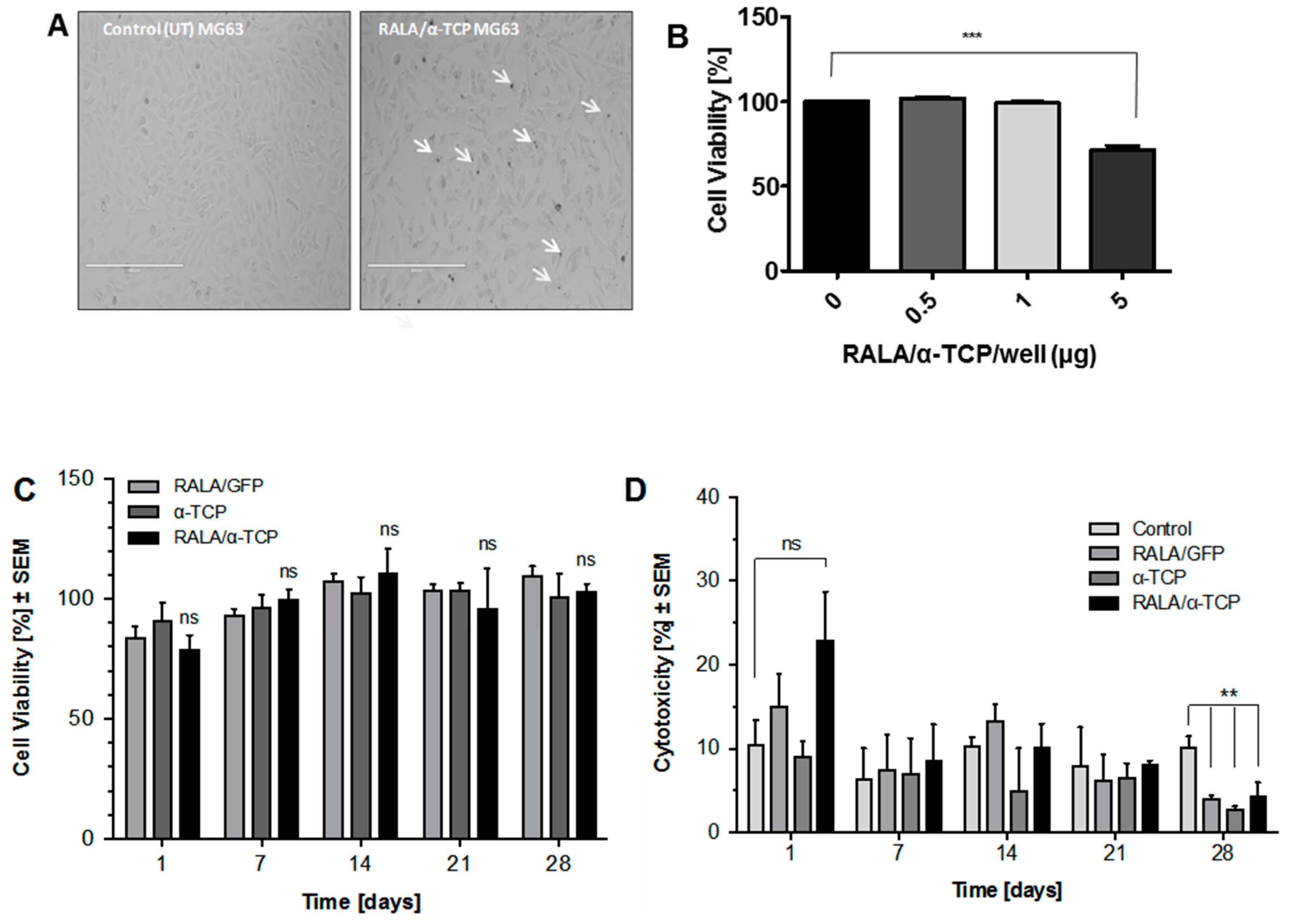 Nanomaterials 10 02442 g004 Nanomaterials 10 02442 g004