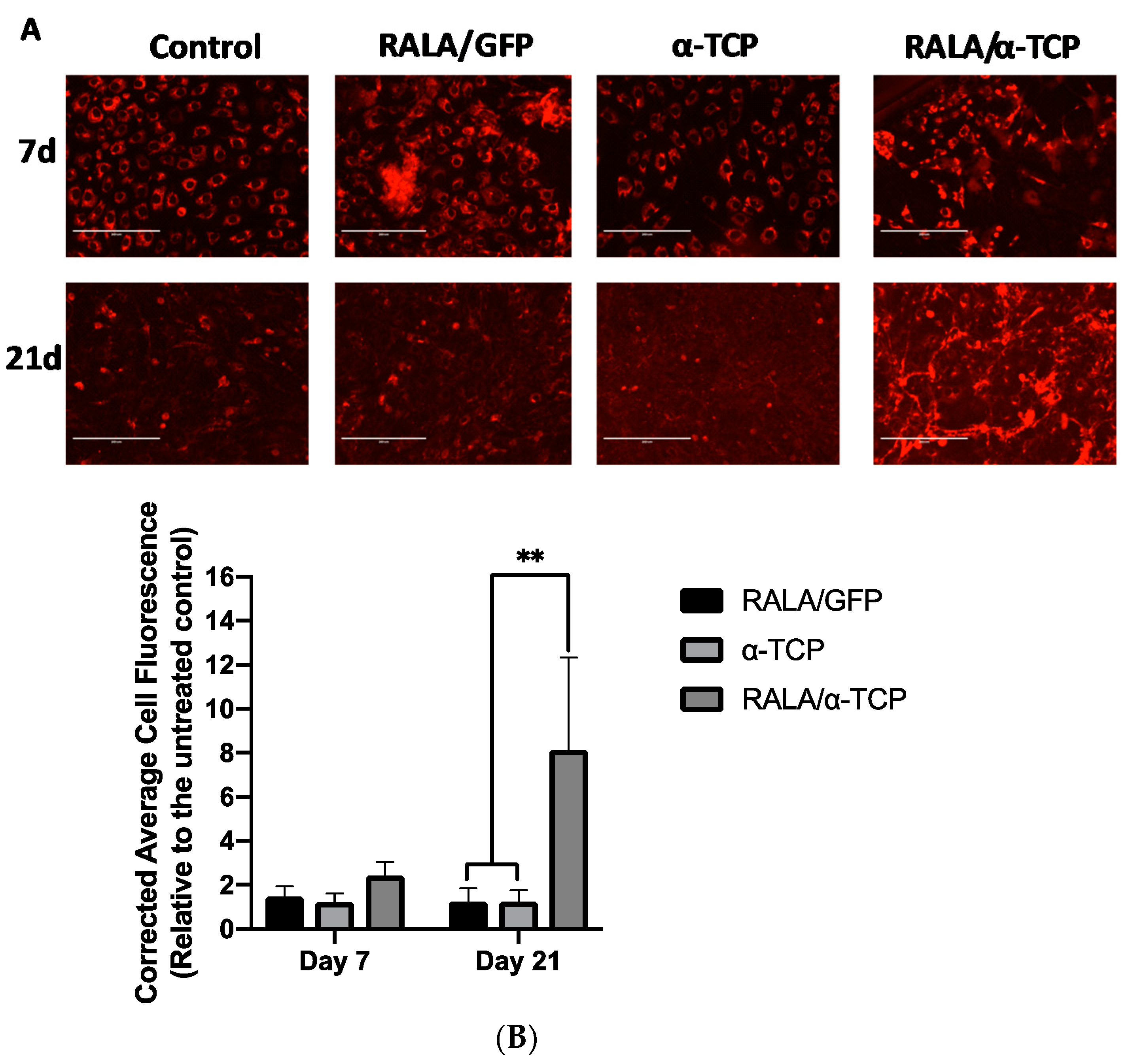 Nanomaterials 10 02442 g005 Nanomaterials 10 02442 g005