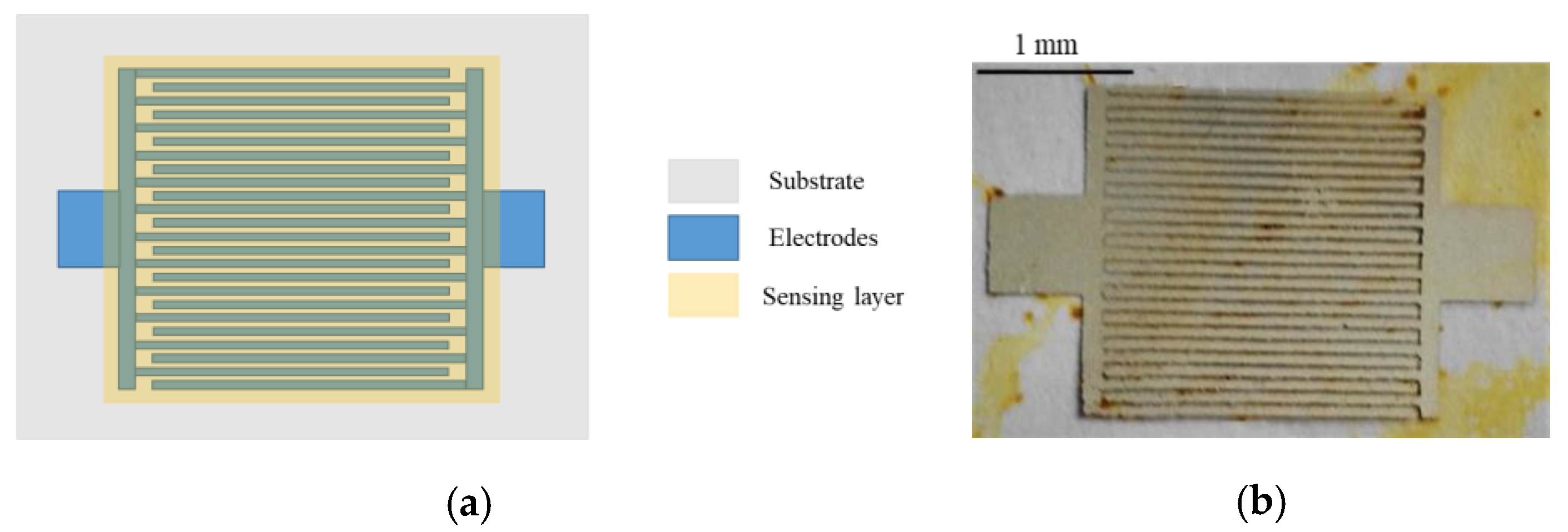 Nanomaterials 10 02446 g001